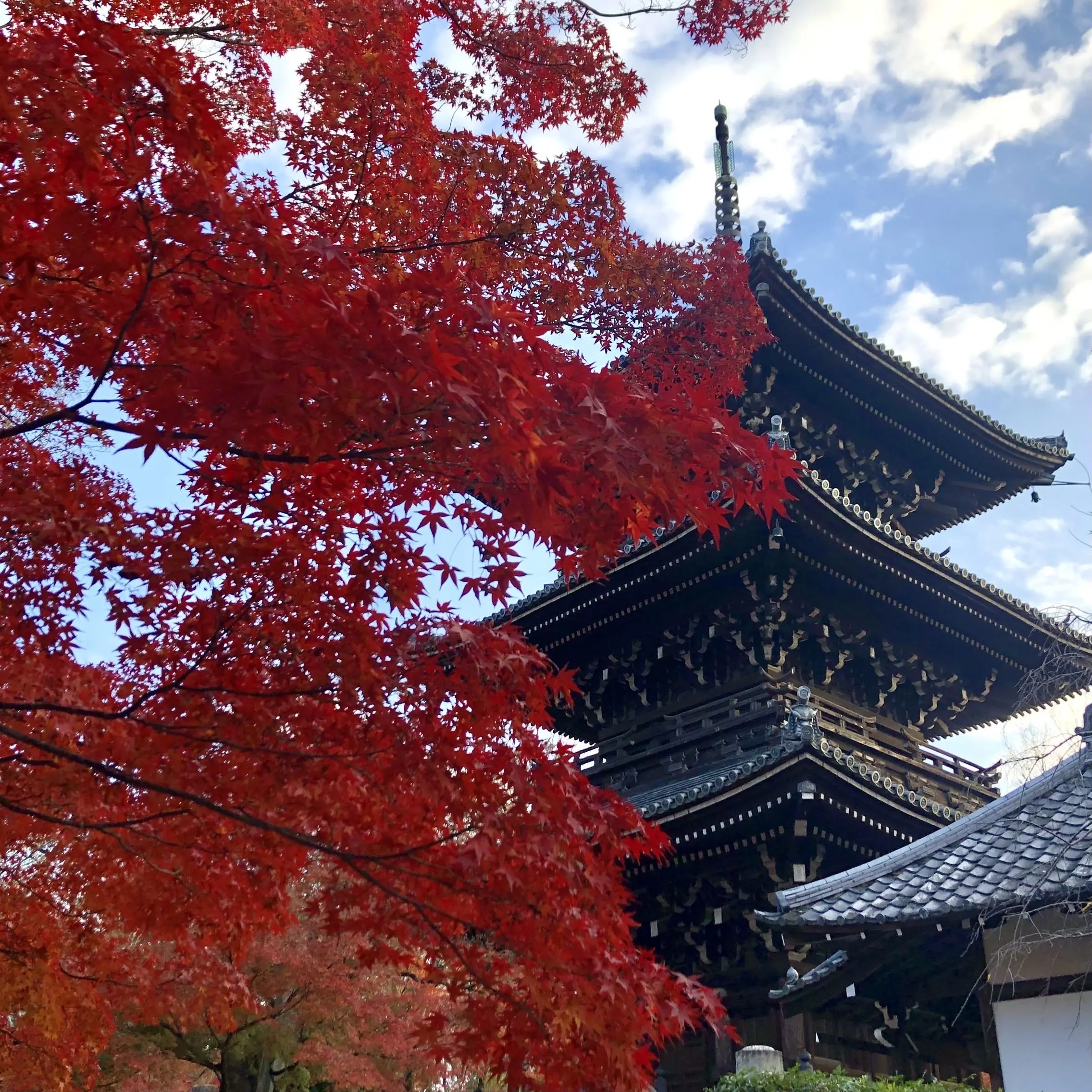 秋の景色を楽しむ♡京都の紅葉_1_27