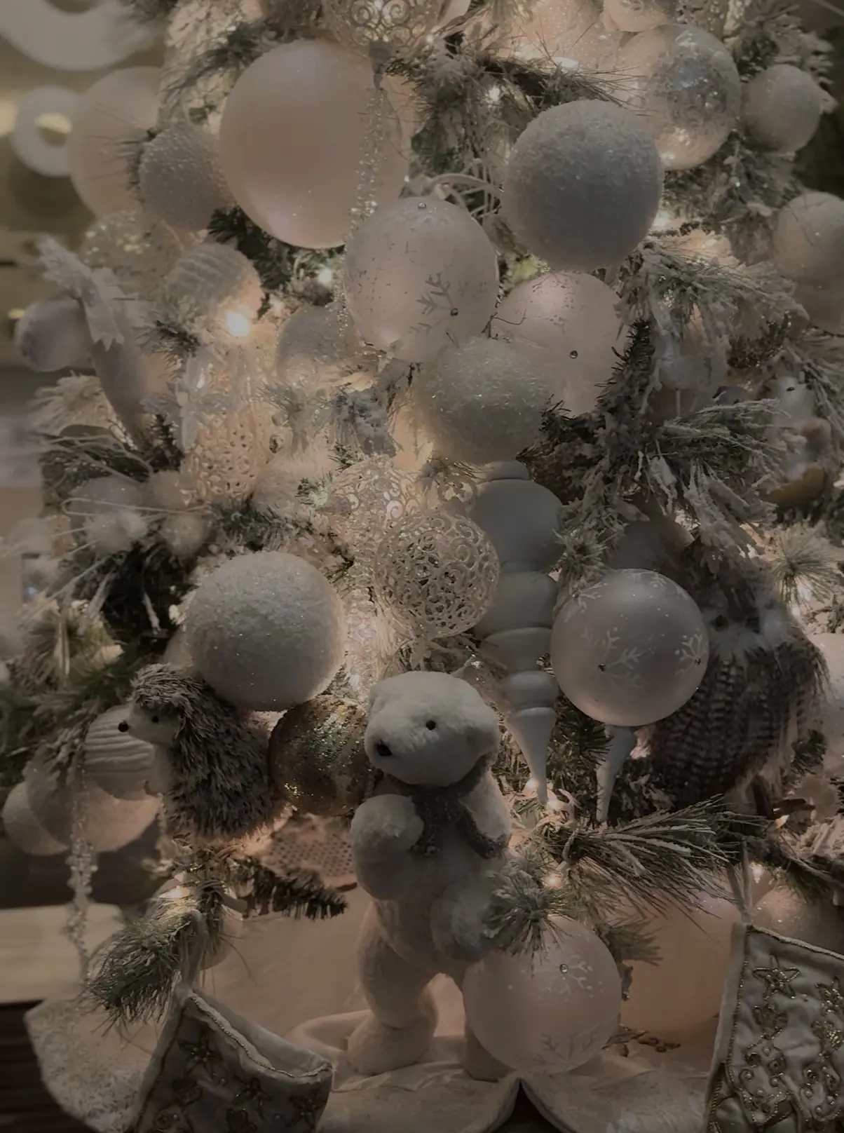 「ソワレ・ドゥ・エクラ2025」へ_1_3-2