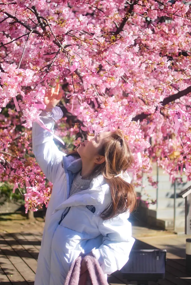 【さかぽんの冒険】桜の都物語①渋谷区♡桜神宮_1_4