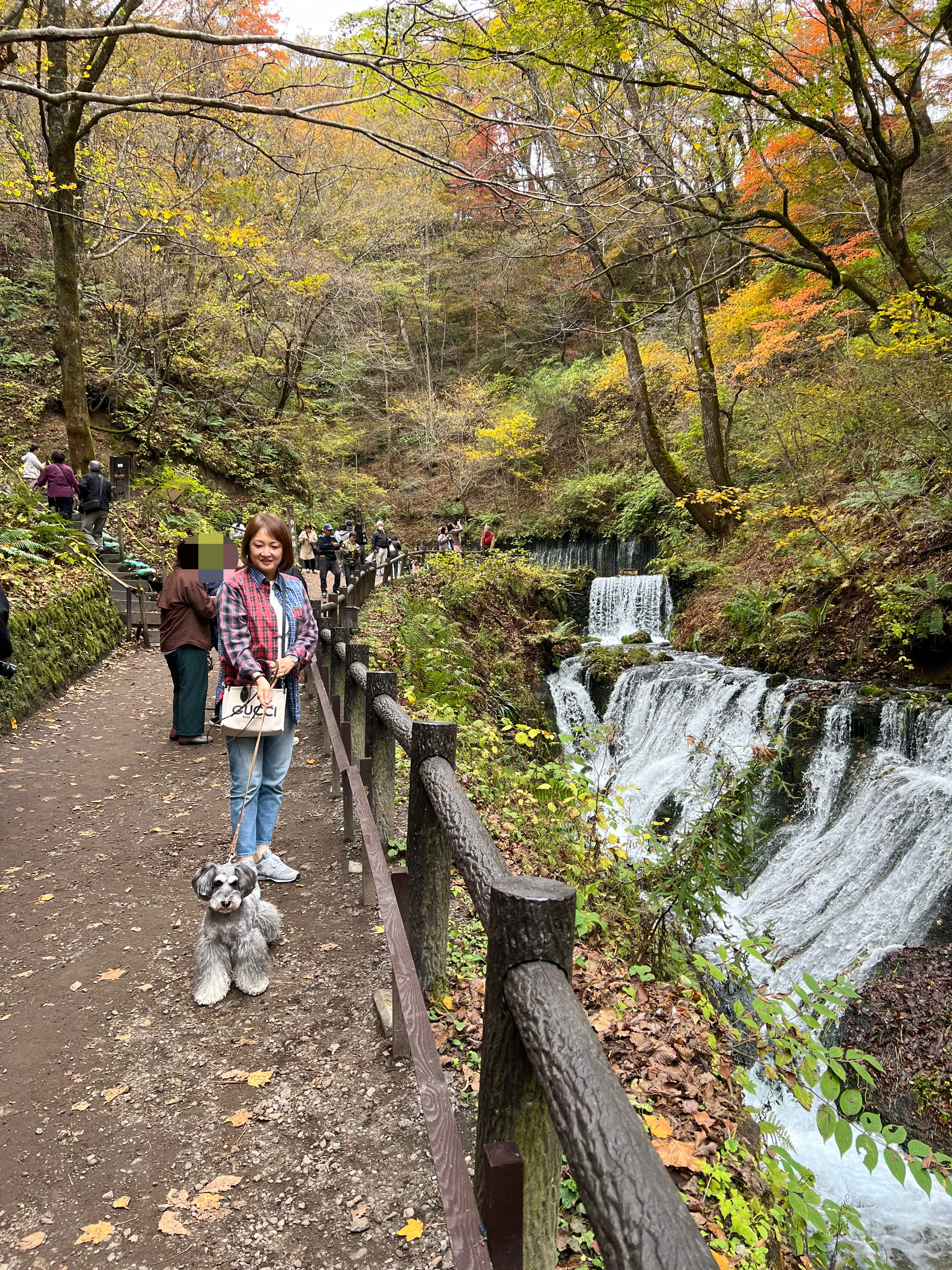 白糸の滝