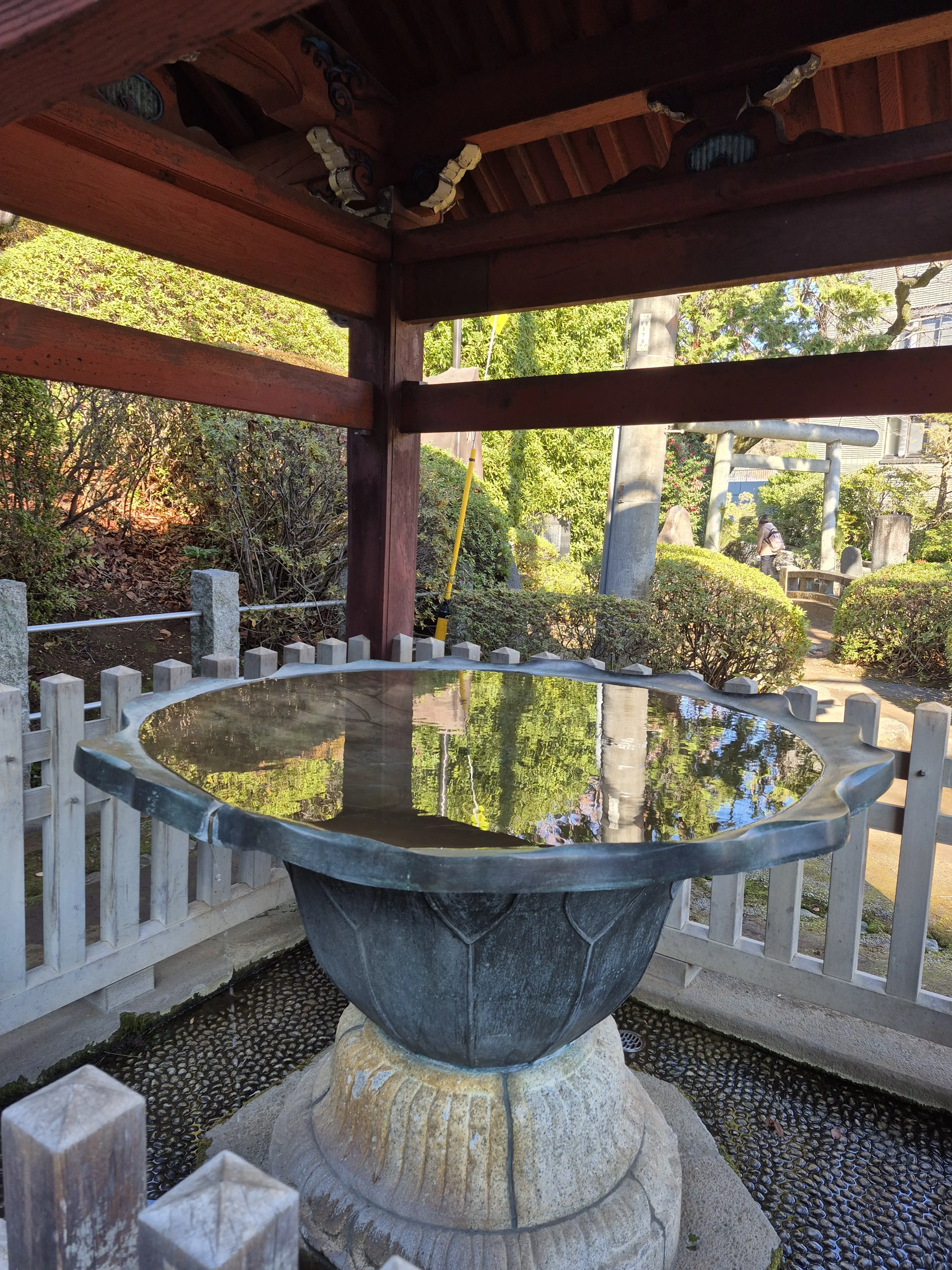 2026年【初詣レポ】護国寺のパワースポット&amp;グルメ_1_3-1