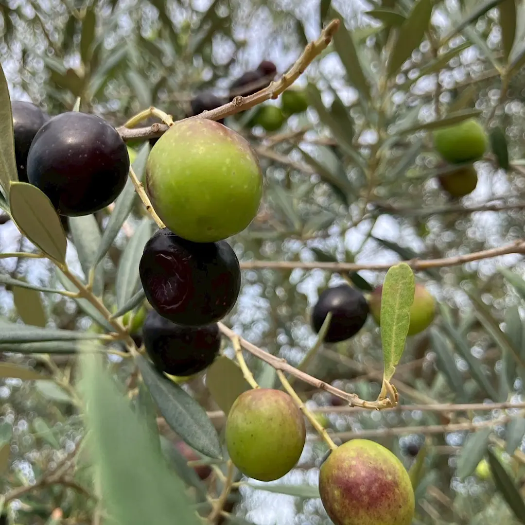 再会in岡山vol.3_1_6-2