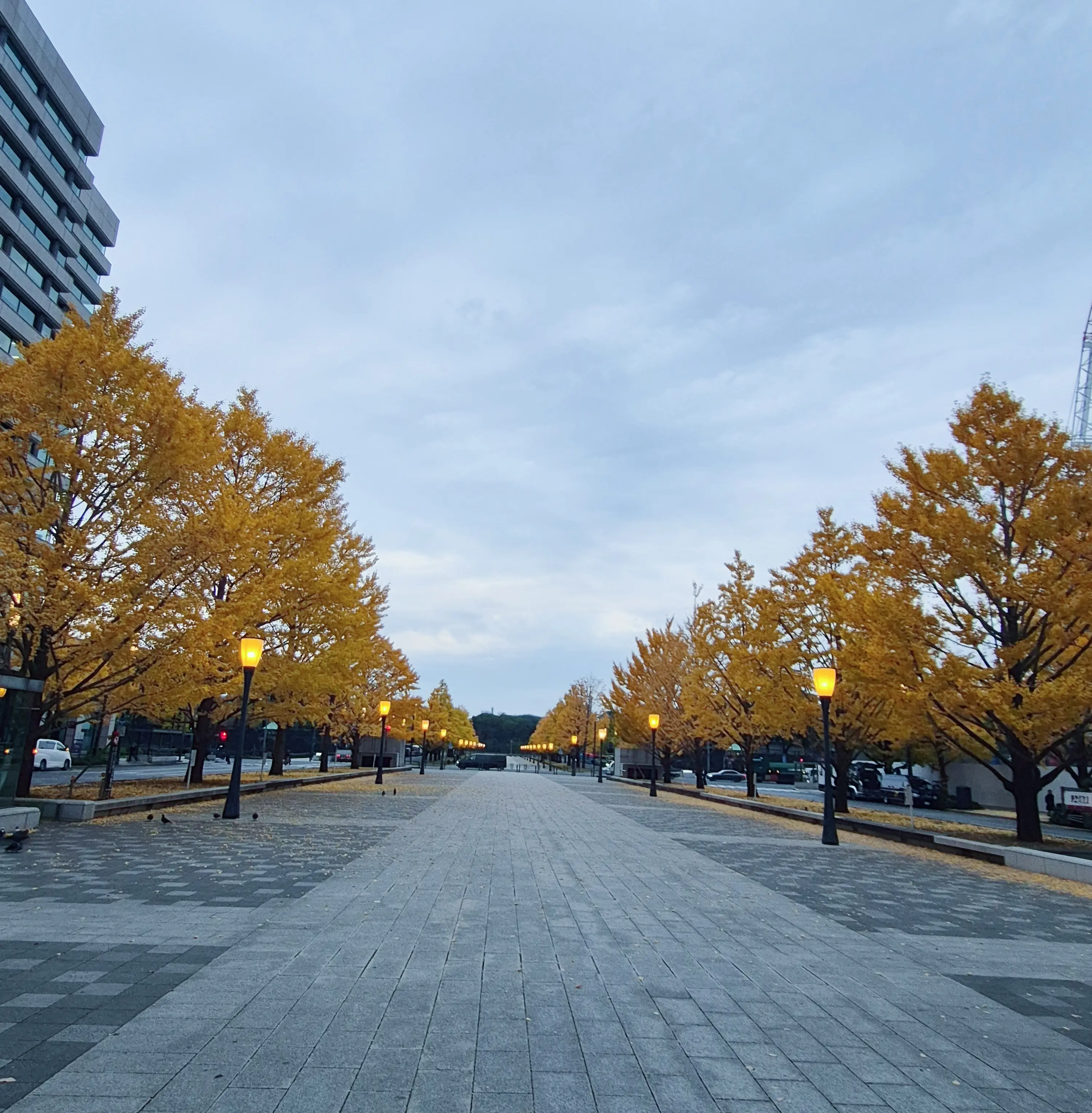 早朝の丸の内＆ドキドキのミステリーツアーに参加して来ました_1_2