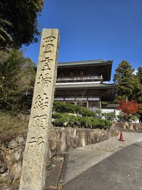 秋の紅葉とランチ_1_10