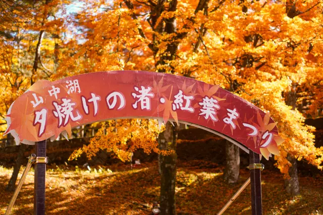 彩りの秋、紅葉真っ盛りの山中湖ドライブ♪熱々ほうとうや超人気カフェ♪_1_3
