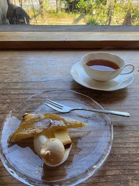 秋の紅葉とランチ_1_15