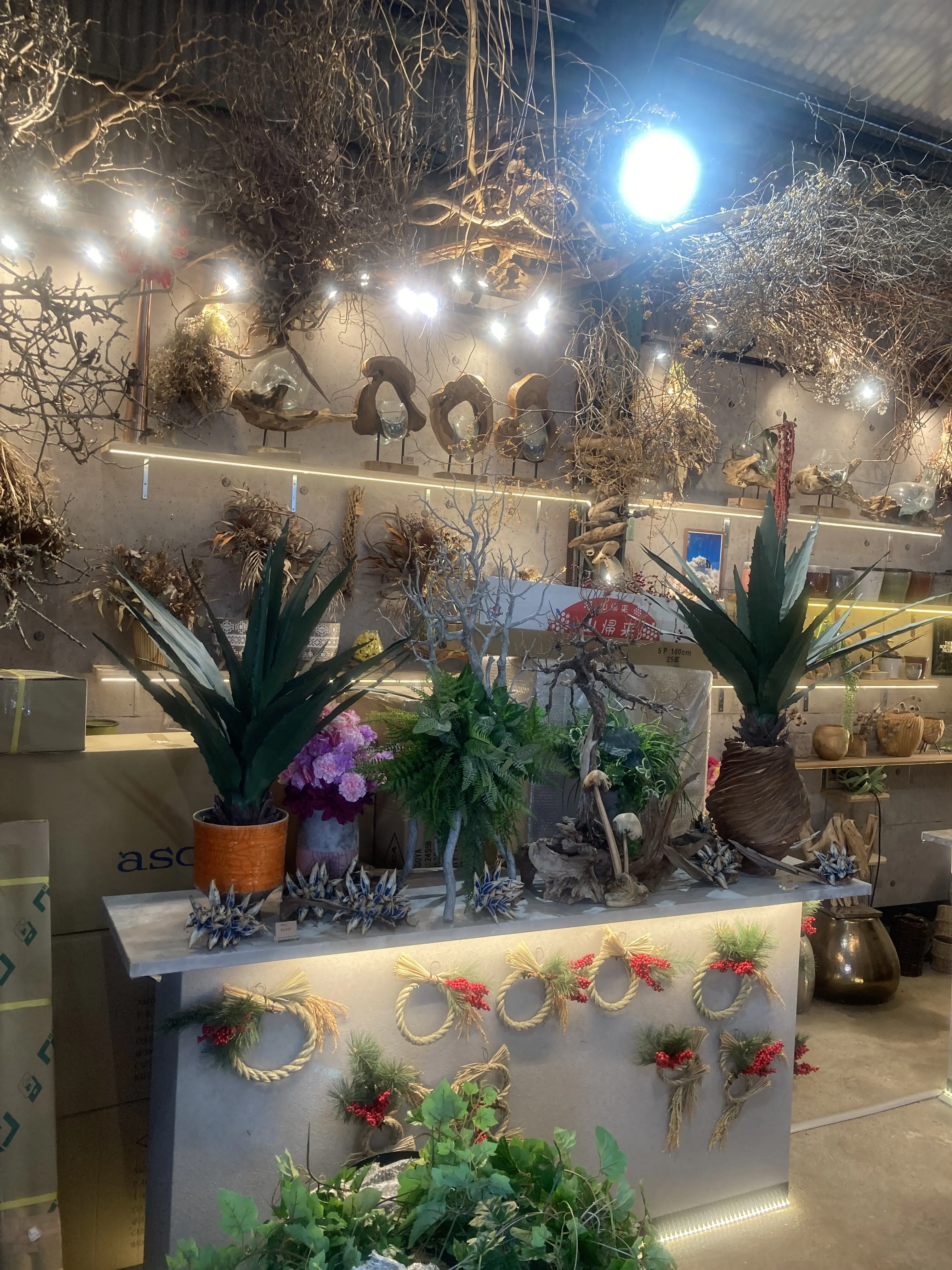 プチ・クリスマス気分を味わいに出かけました。_1_4