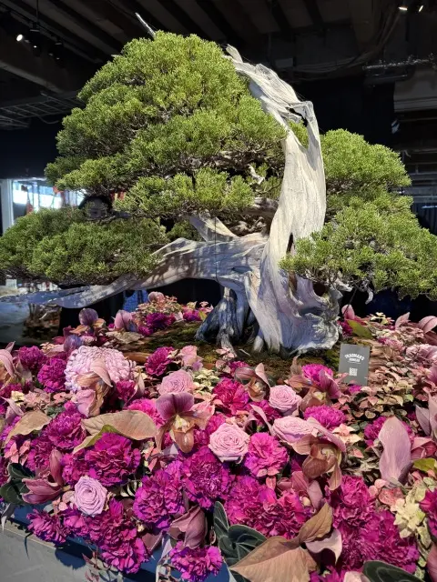 【スペシャルラッキーDay】お花に囲まれまさかのサイン会!_1_11