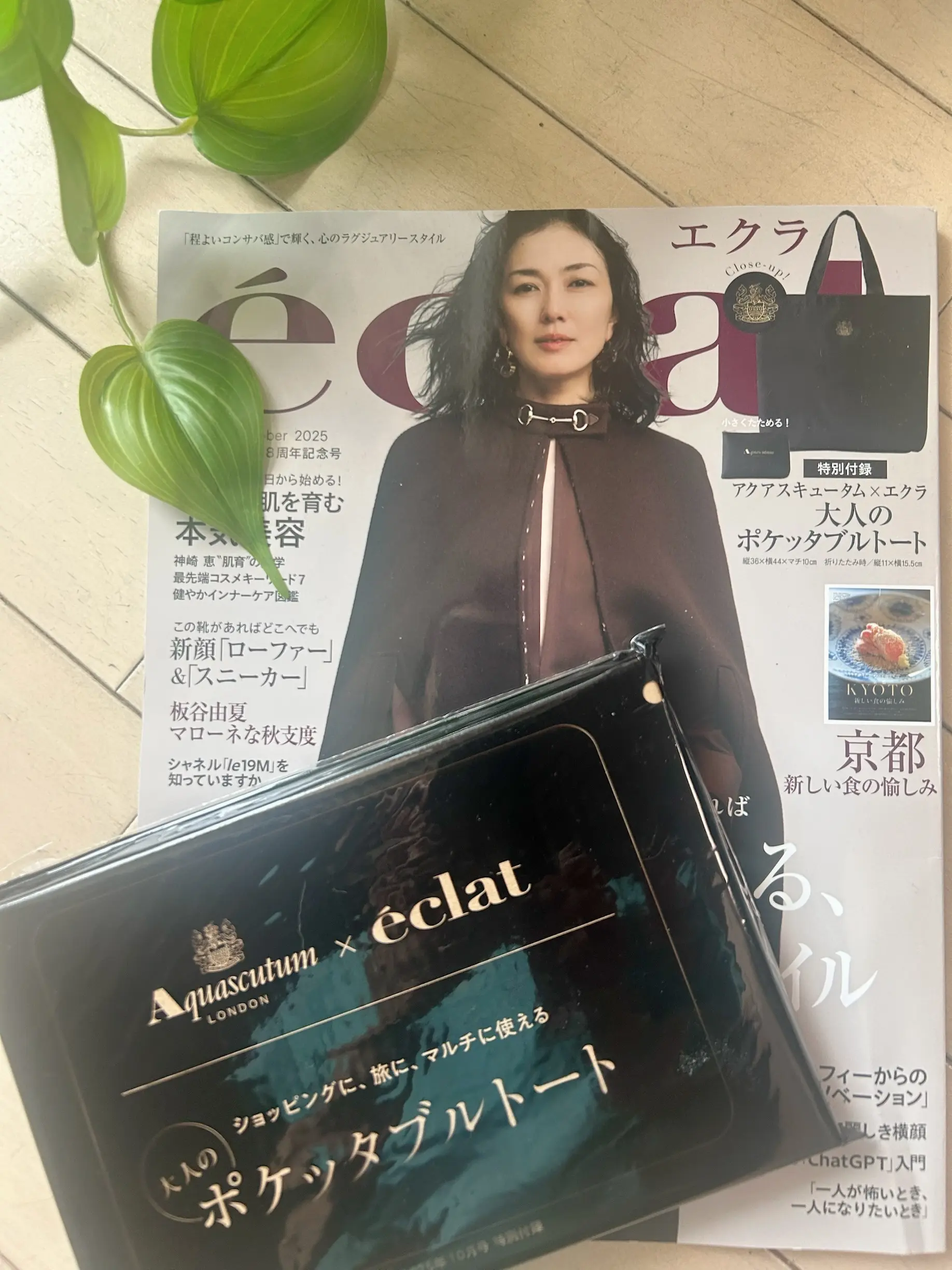 エクラ１０月号特別付録　アクアスキュータム×エクラの大人のポケッタブルトート　_1_1