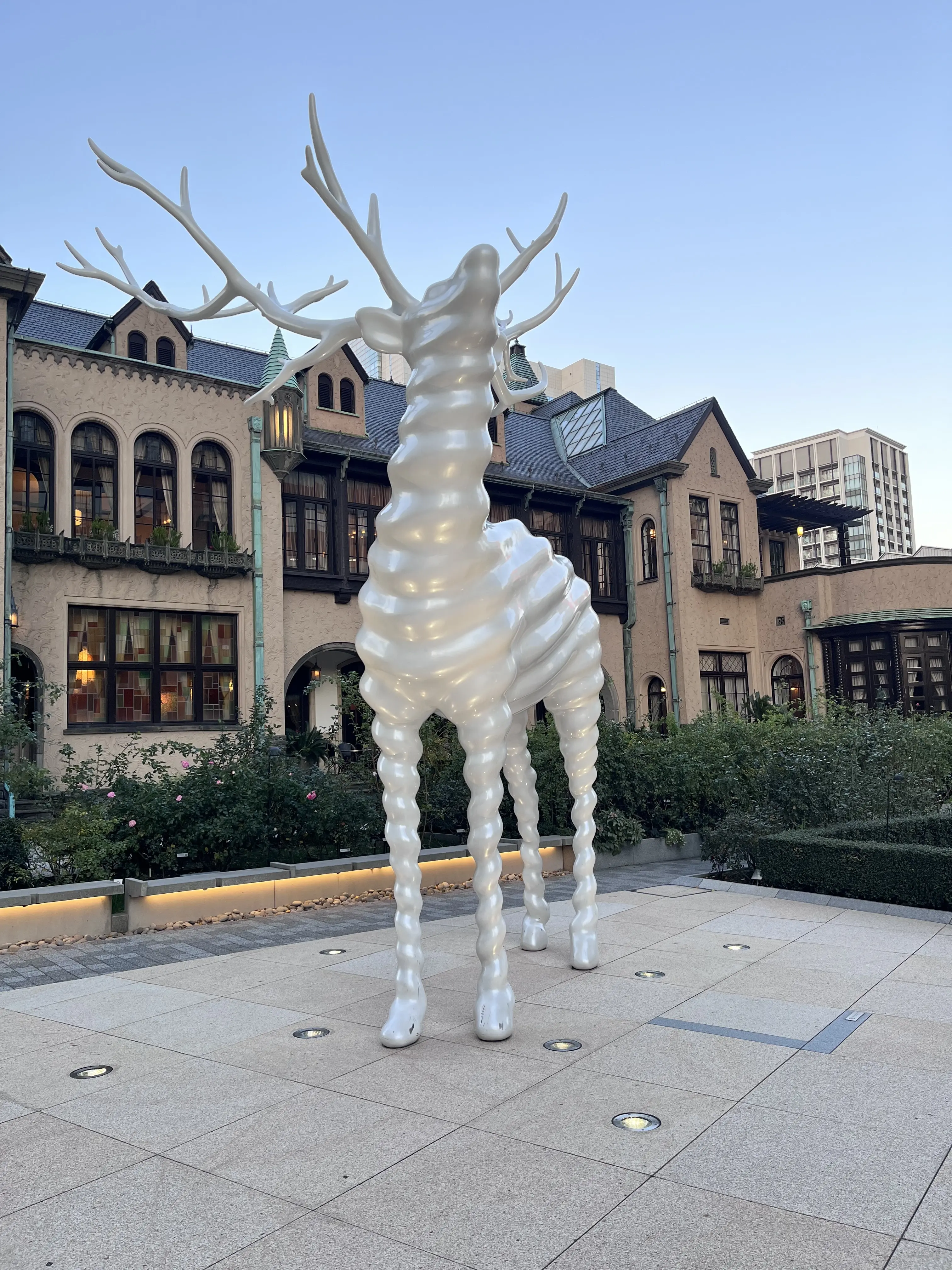 続・続・Jマダムメンバーとキラキラ観賞☆⭐︎☆_1_14