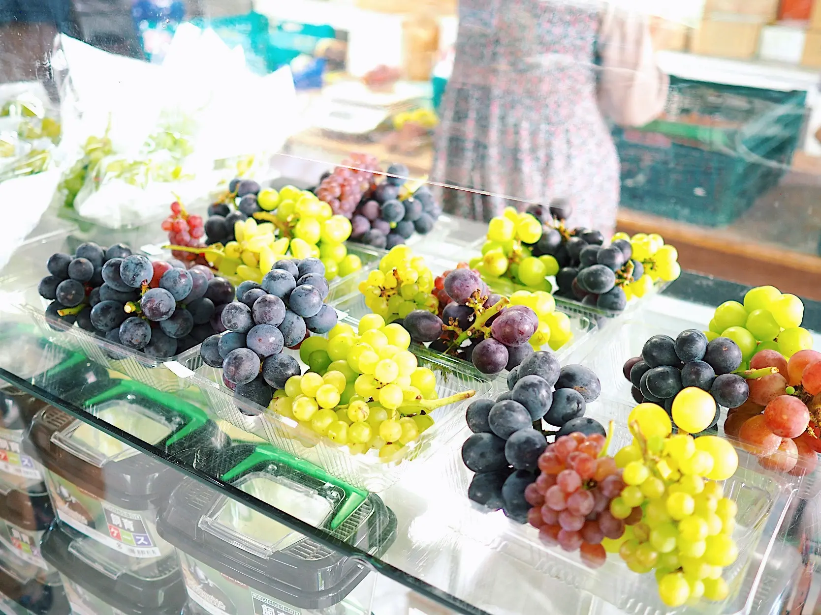 夏の締めくくり!農園で楽しむカラフルで濃厚なかき氷_1_8