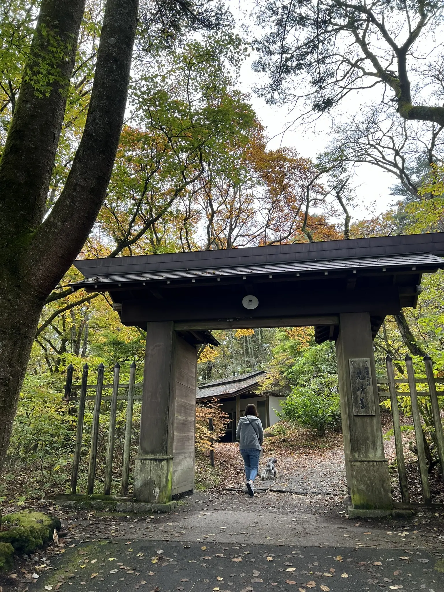 旧碓氷峠見晴台