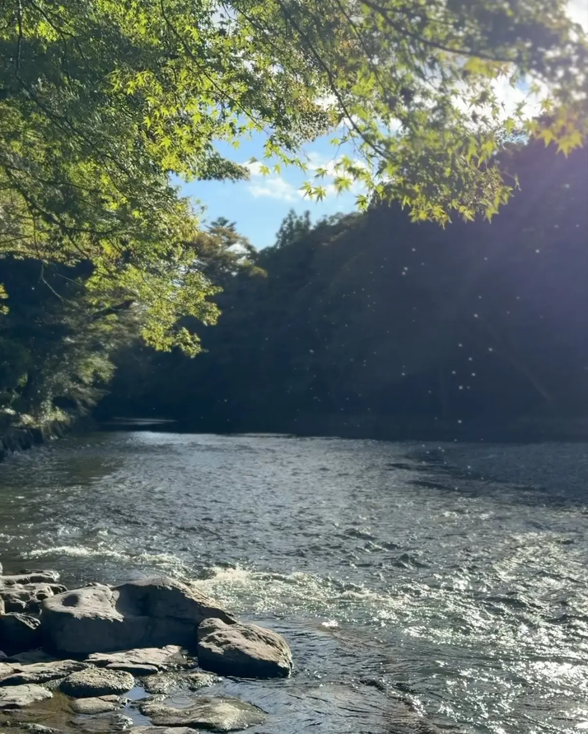 【ソロ旅】秋の伊勢神宮へ〜初めての1日詣。後編_1_3