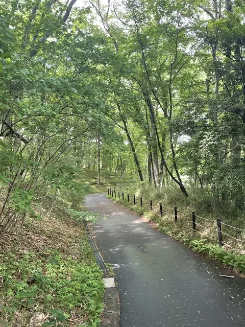 埼玉県森林公園
