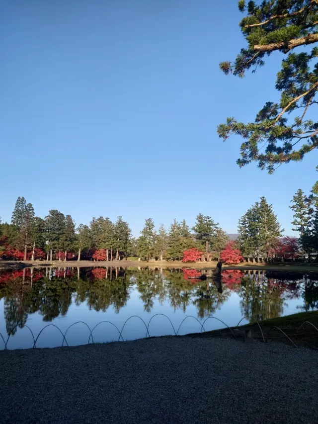 毛越寺の浄土庭園