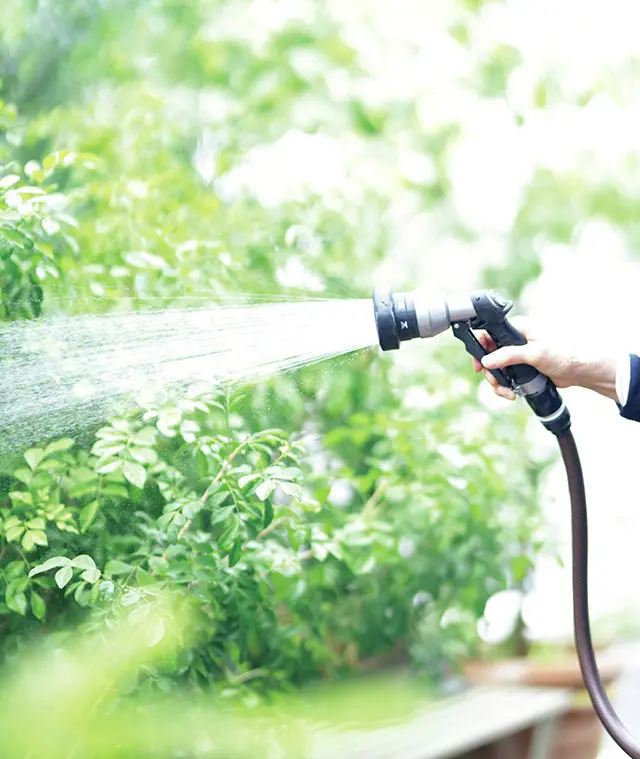 庭の植物にも、人間にも たっぷりの水を