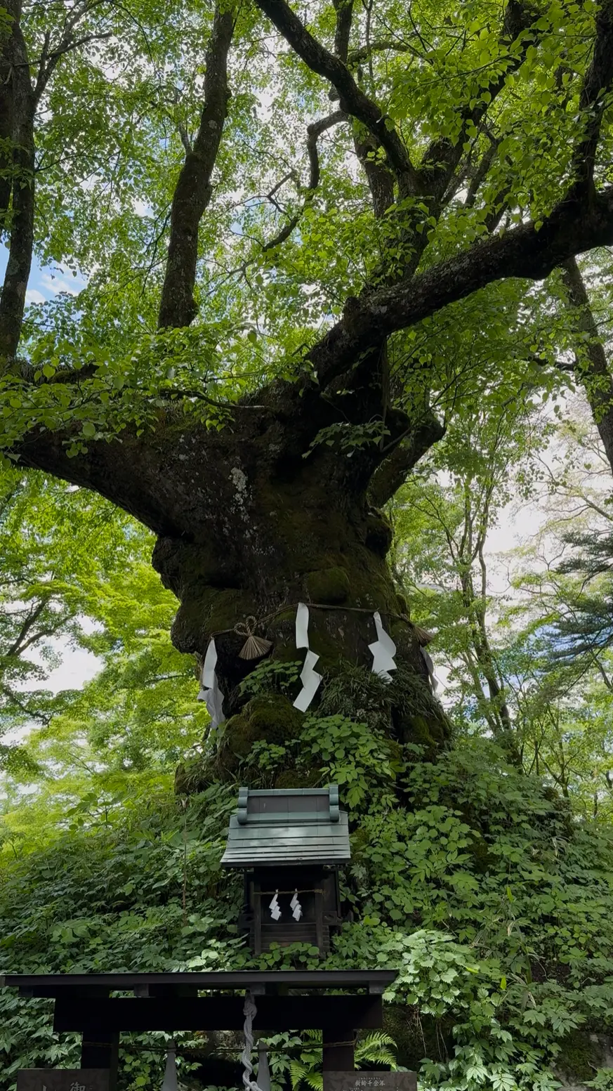 番外編♪軽井沢散策_1_11