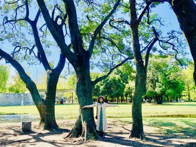 学びの森