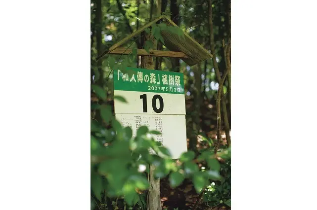 木のナンバーは植樹の記録。日本中から有志が集まり、森を育てるプロジェクトに参加した。