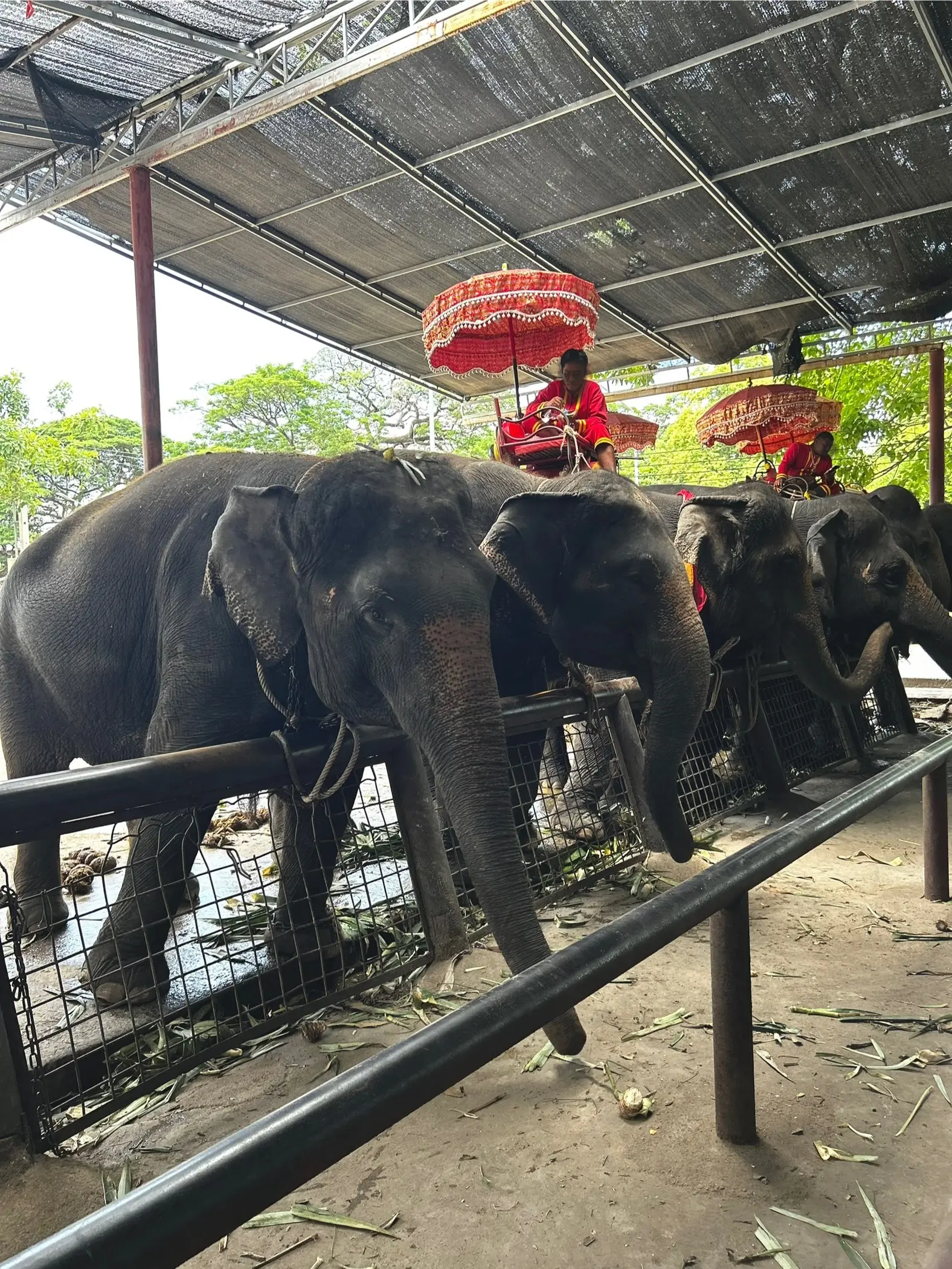 アユタヤ王朝の遺跡巡り｜タイ  世界遺産を歩いてめぐる旅 Ayutthaya อุทยานประวัติศาสตร์พระนครศรีอยุธยา_1_33