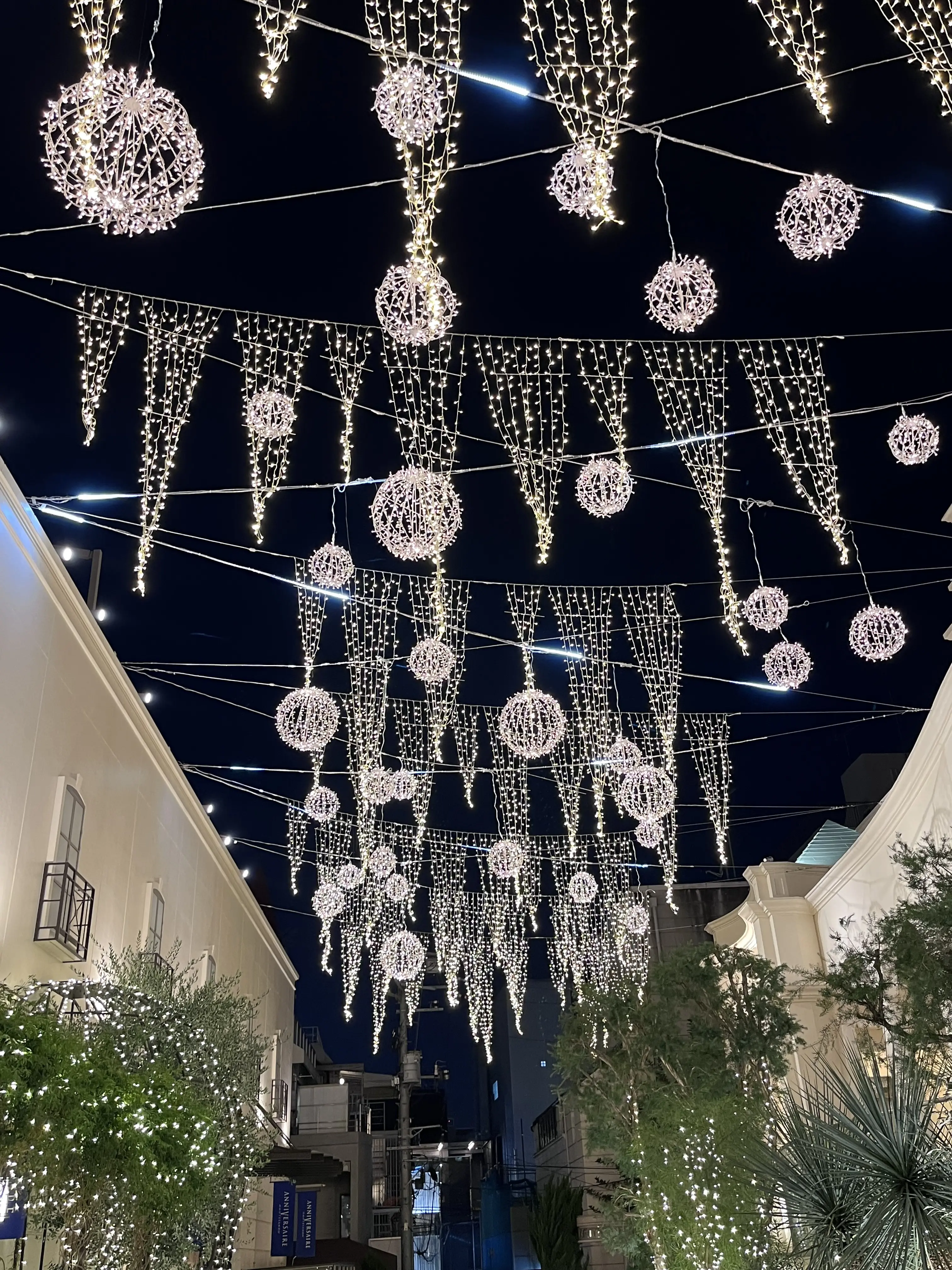 ドキドキワクワクの11月21日⭐︎_1_9