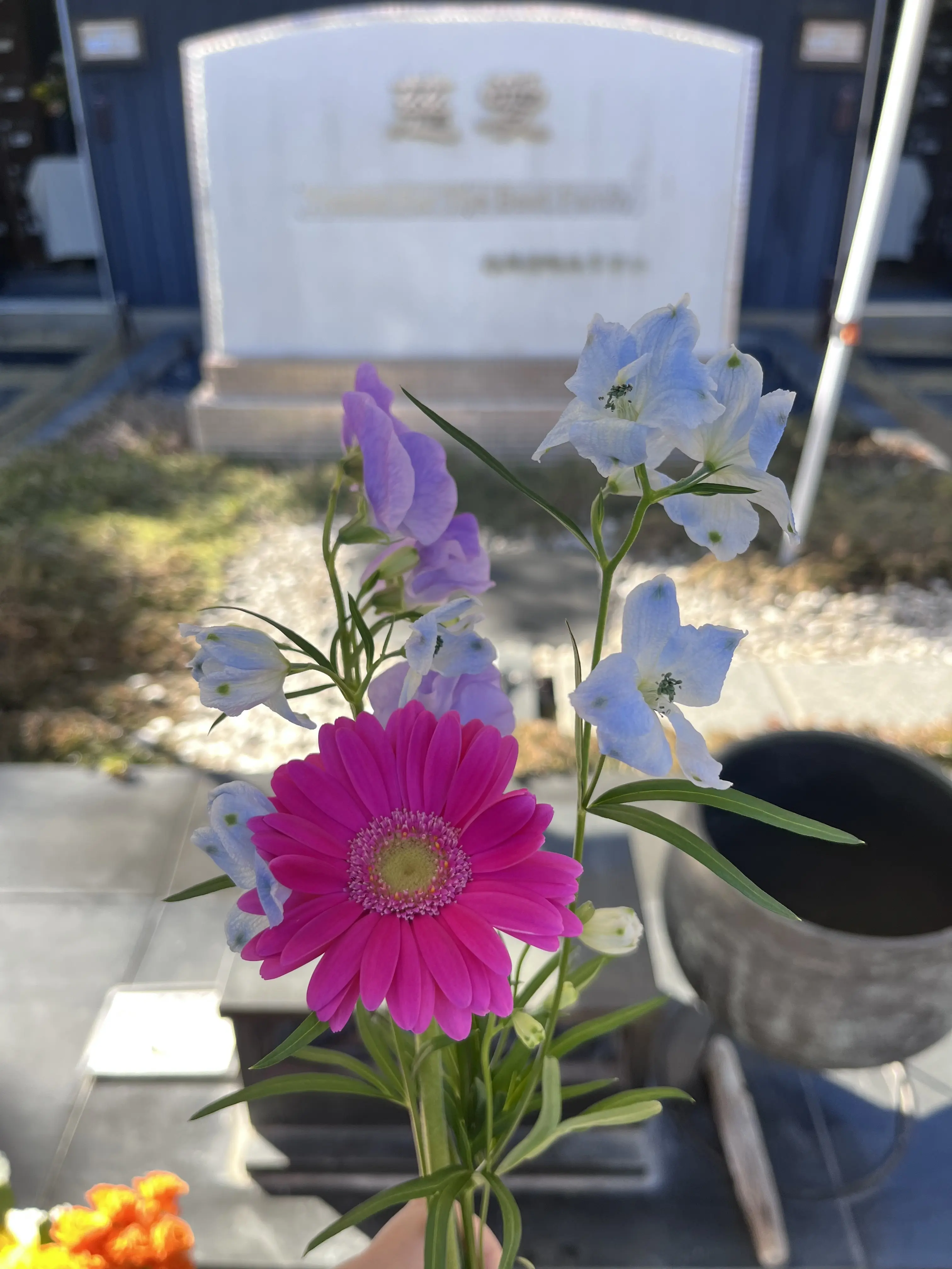 今年最初の3連休は_1_1