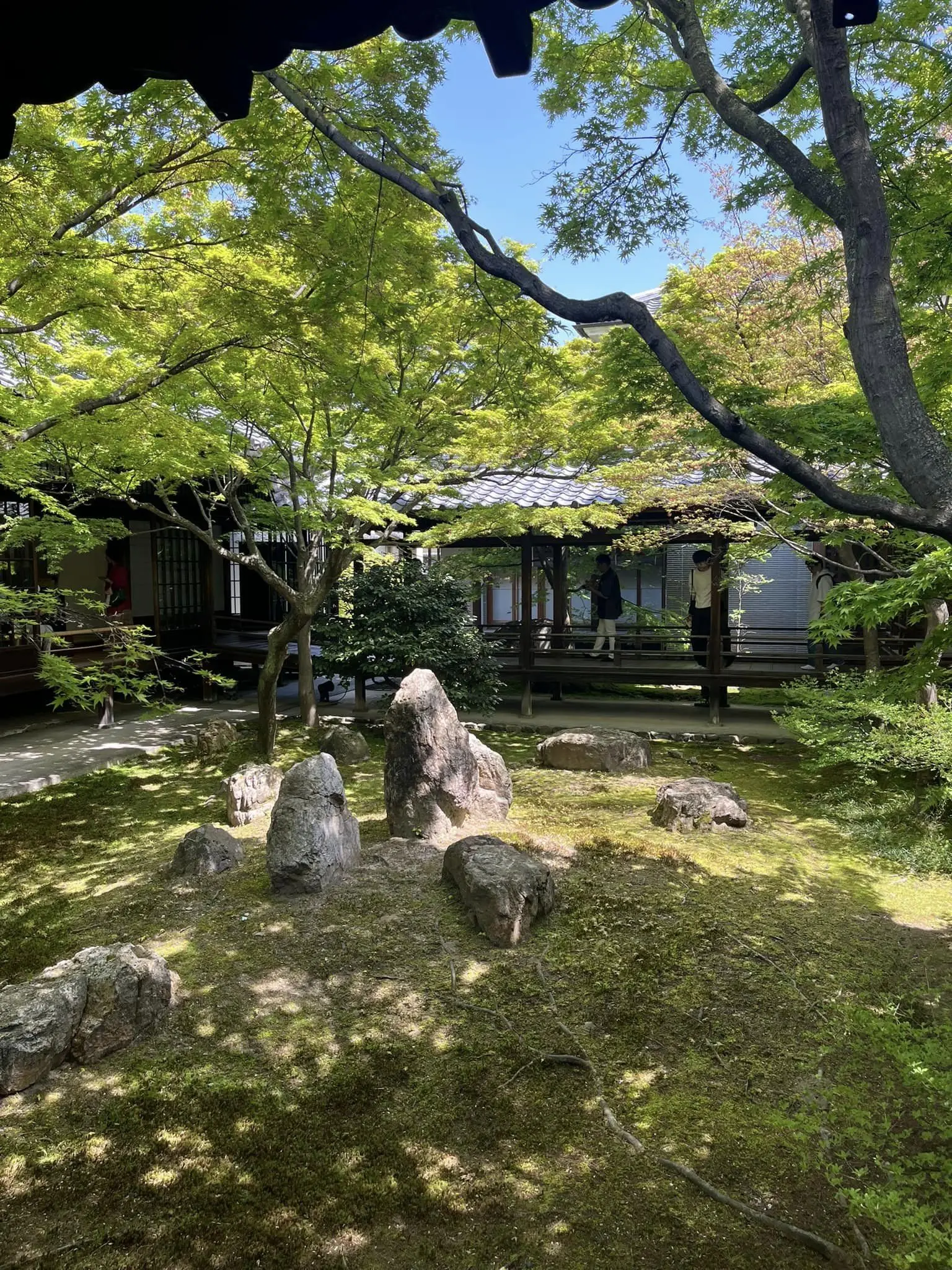 京都日帰り旅行_1_9-1