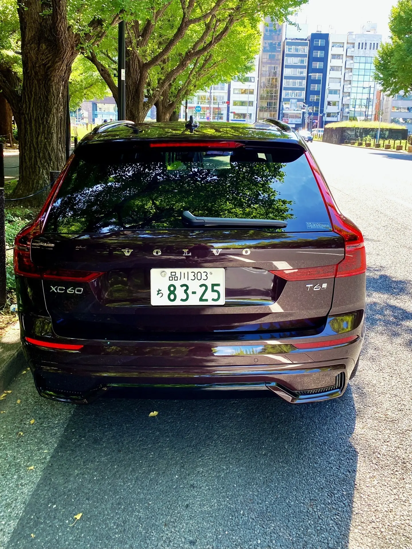 ボルボ　XC60 Ultra T6 Plug-in hybrid　バッグ外観 プラグインハイブリッドモデル マダムの“ぐっとくるクルマ”試乗 Webエクラ