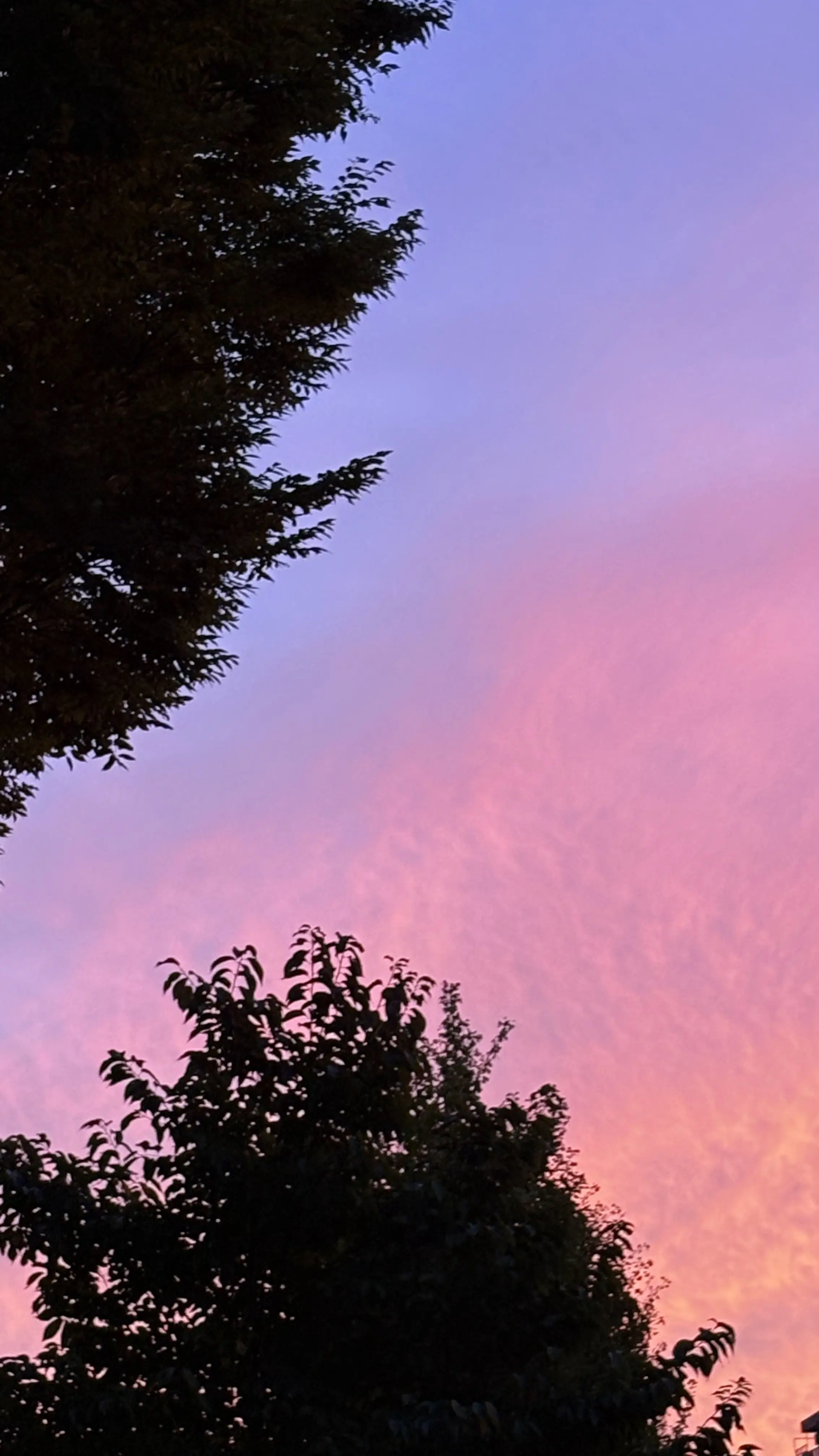 あきのそら 秋の空 夕焼け 夕焼け空 キレイな空