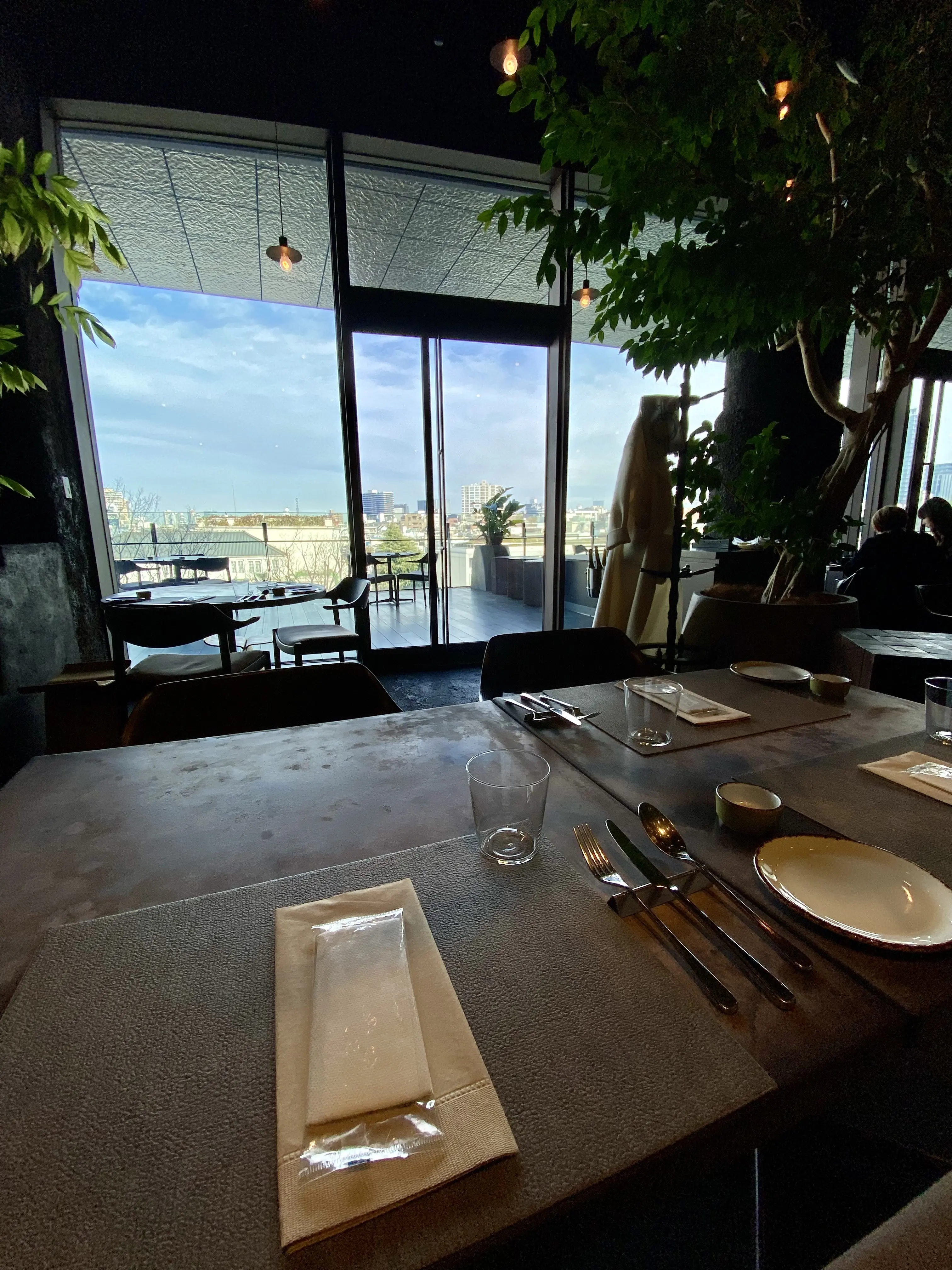 bonélan（ボネラン）の店内から望むテラス席。けやき並木を借景にした開放的な眺め