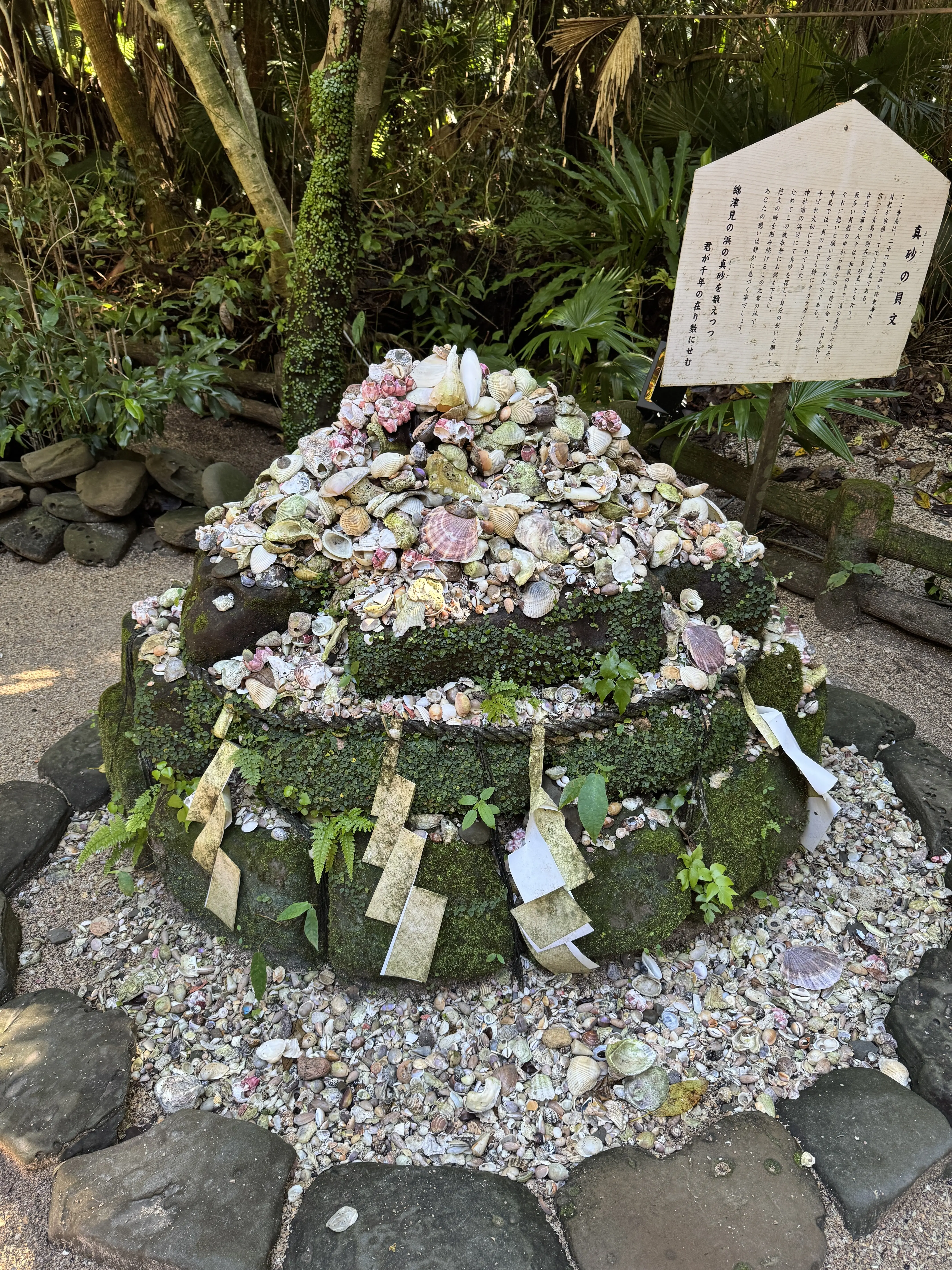 青島神社　真砂の貝文