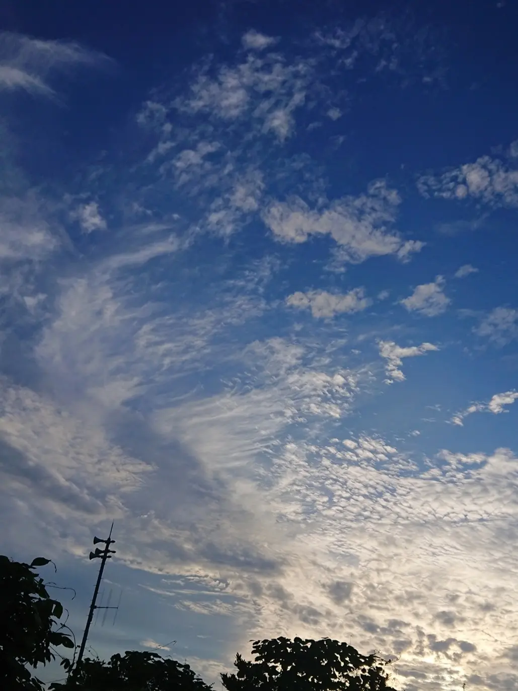 秋の空