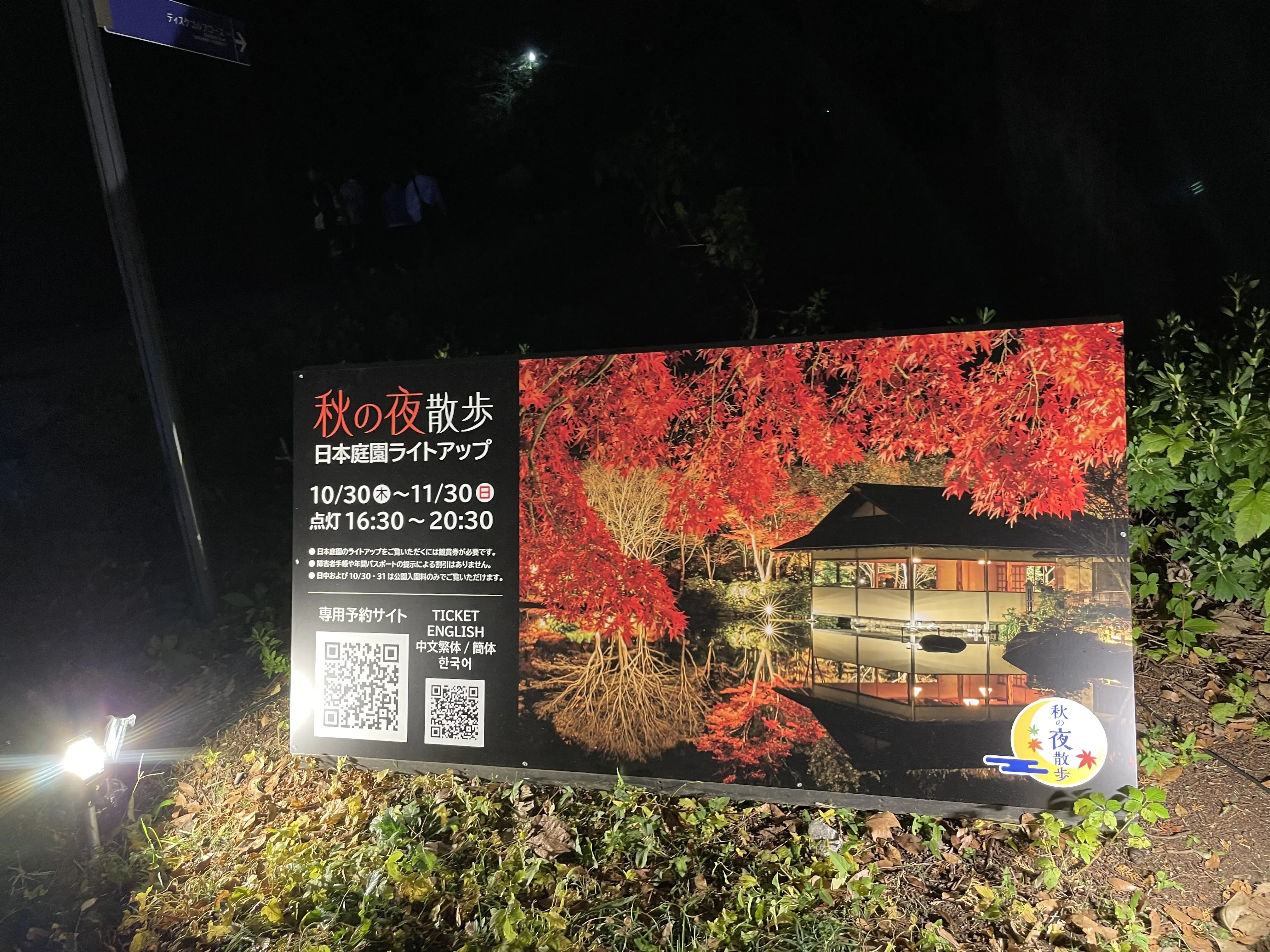 秋の夜散歩は最高に美しい景色でした。_1_1