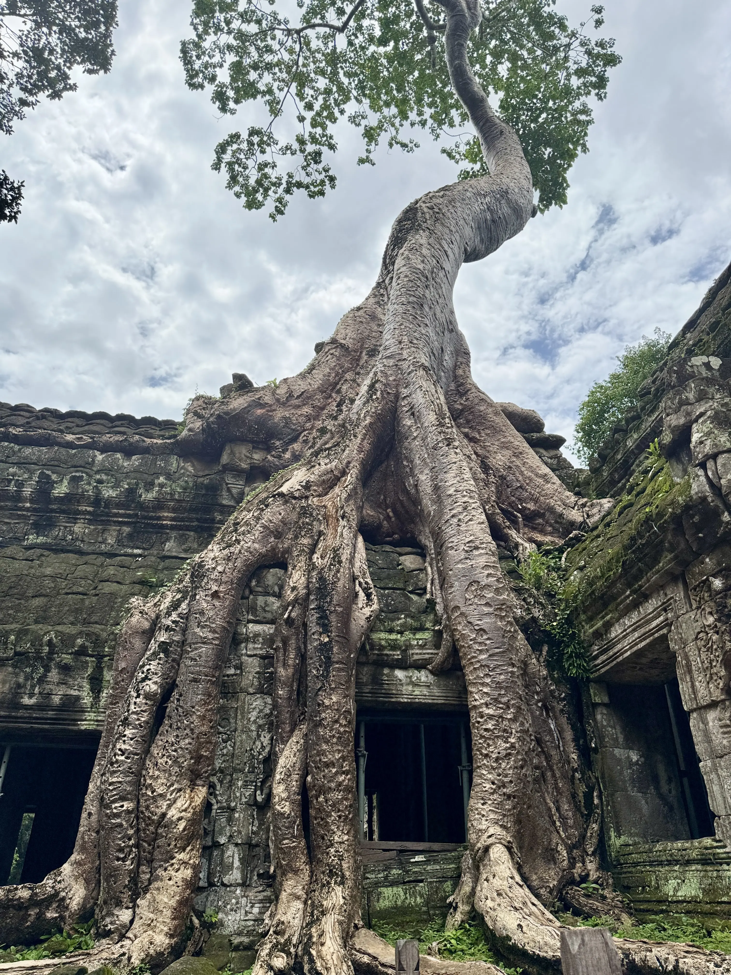 夏旅 to CAMBODIA🇰🇭後編（必見遺跡 BEST3)_1_22