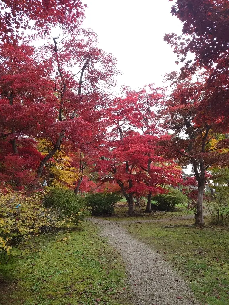 紅葉赤の小路