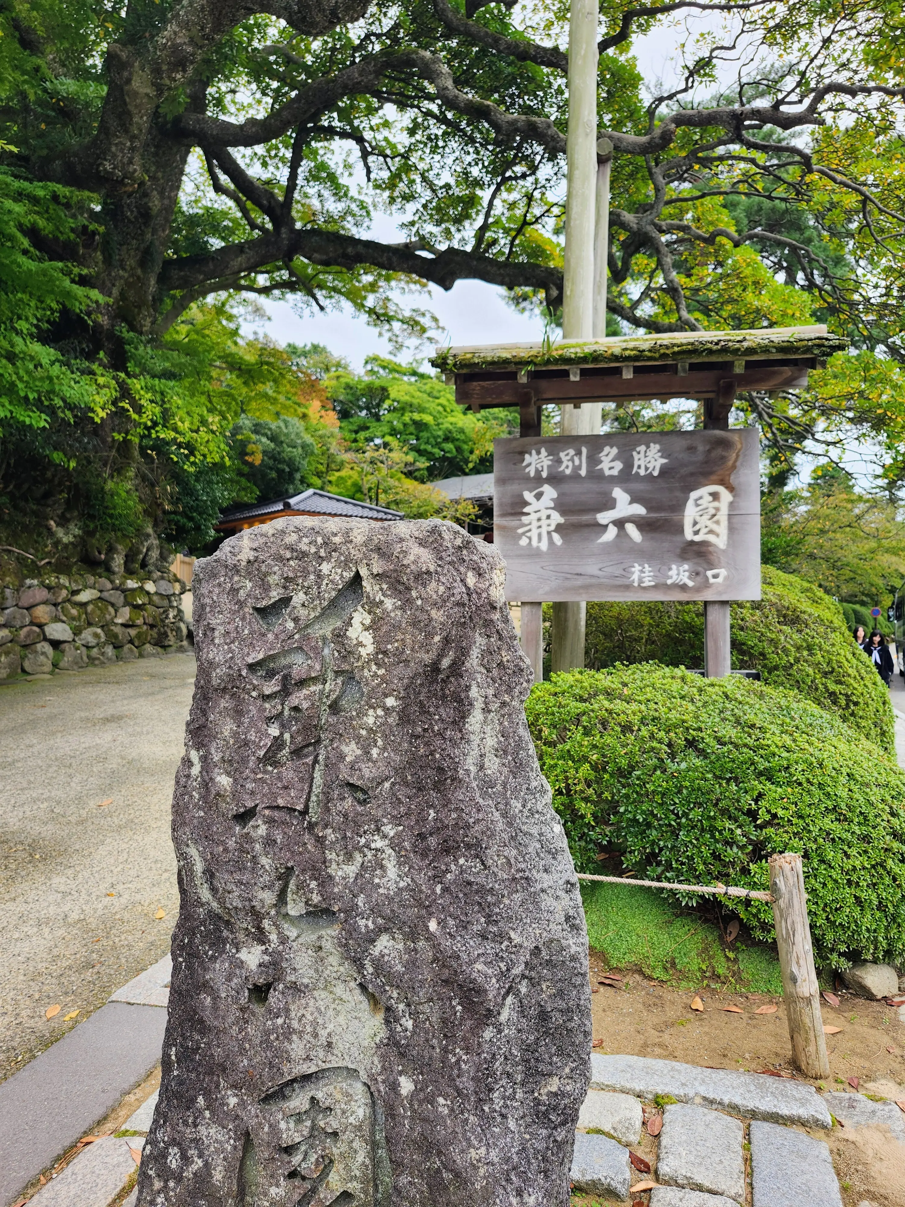 女子旅、金沢、金沢旅行、秋の金沢、40代ファッション、旅コーデ、加賀料理、21世紀美術館、御朱印 神社、金沢カフェ、茶屋街