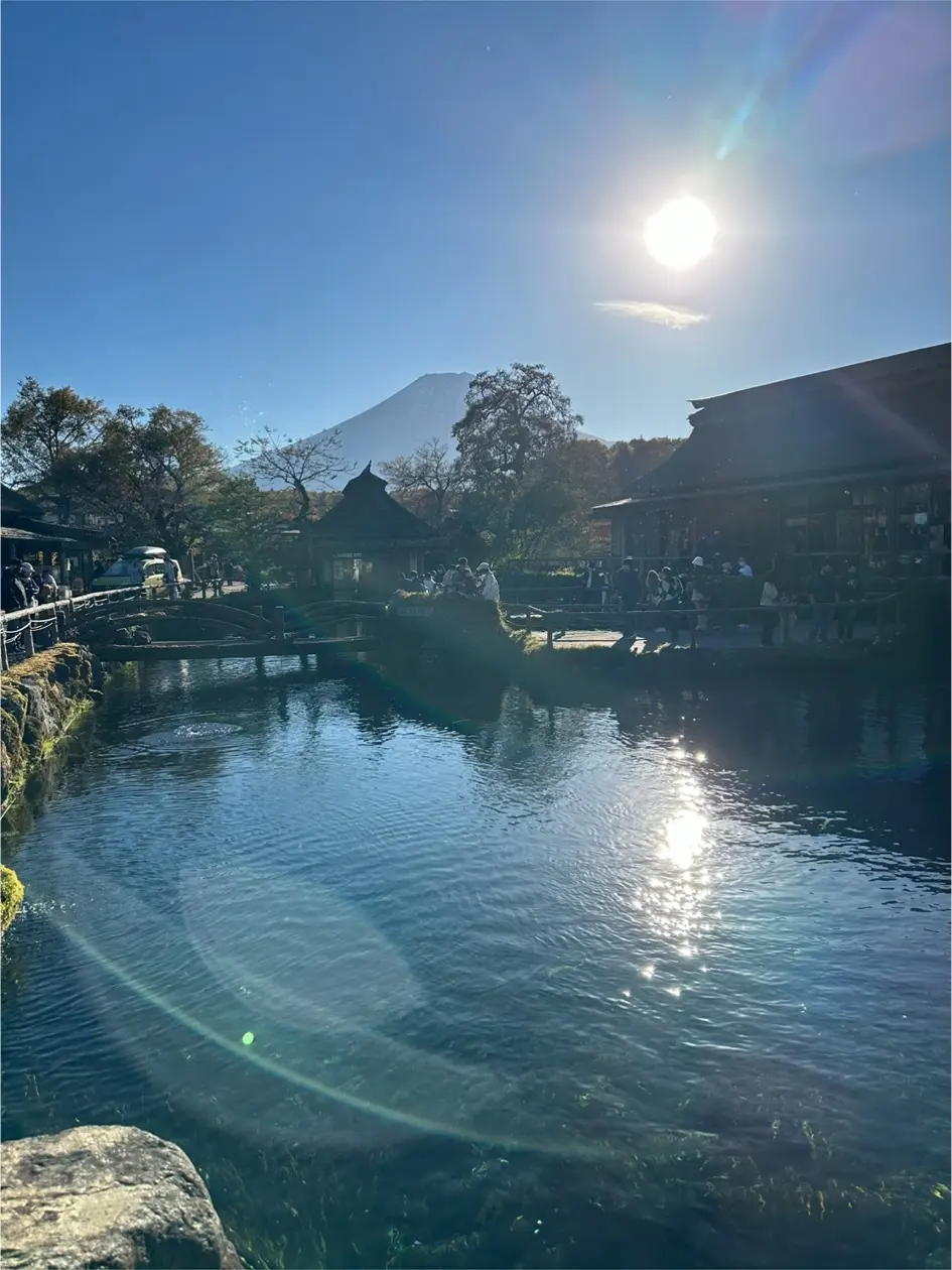 忍野八海　富士山　河口湖　もみじ回廊