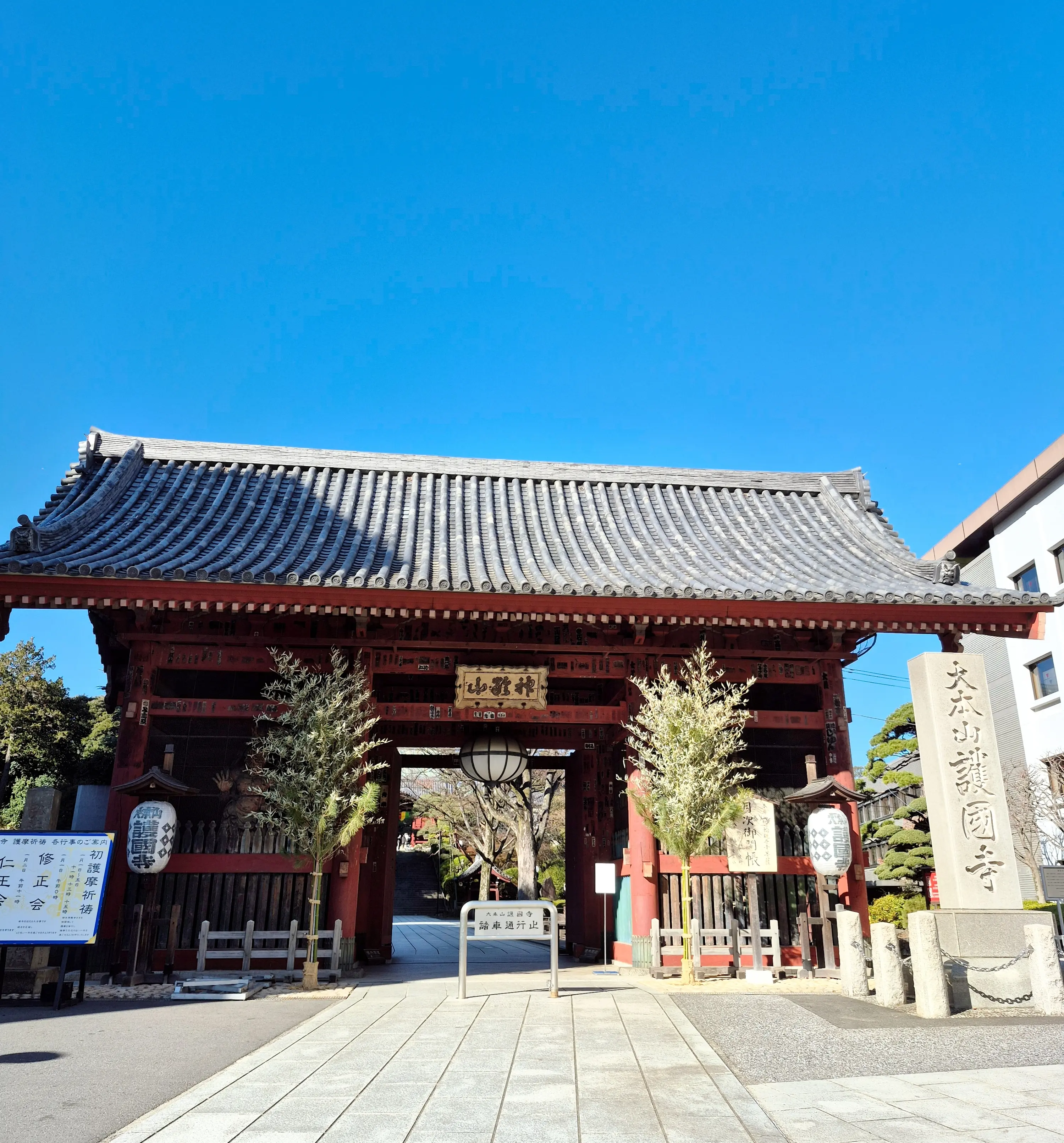 2026年【初詣レポ】護国寺のパワースポット&amp;グルメ_1_1