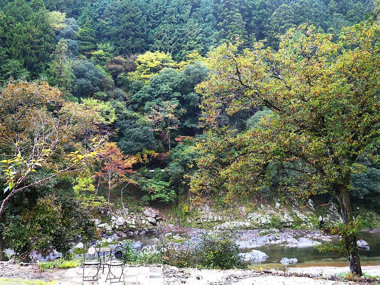 ランチコーデにH&amp;Mボウタイブラウス♡ 奥三河の森の絶景レストランへ_1_14