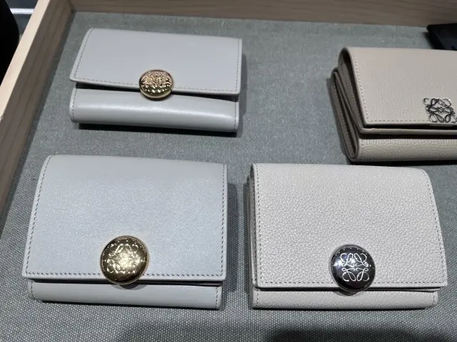 ロエベの気になるスモールウォレット_1_6