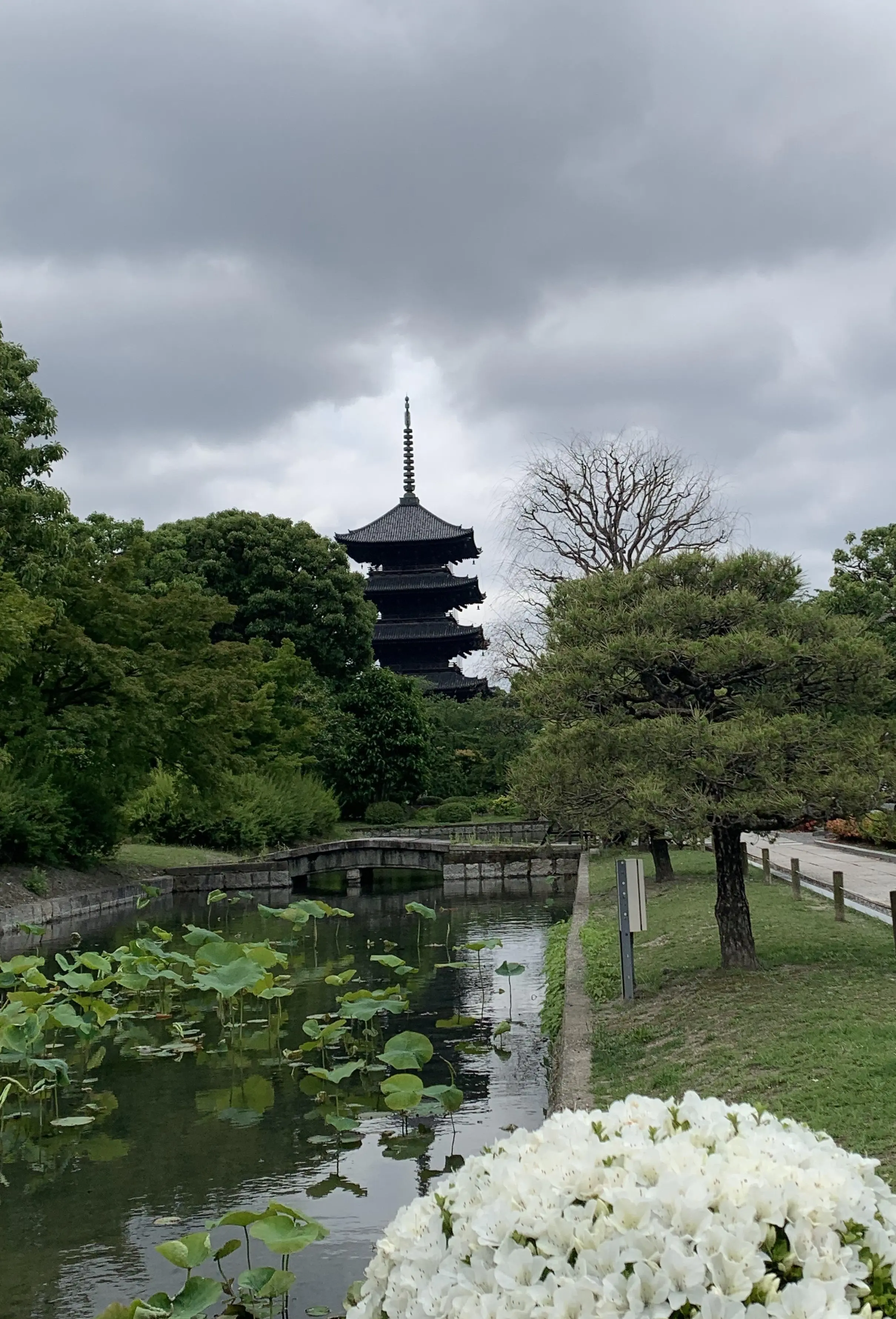 東寺
