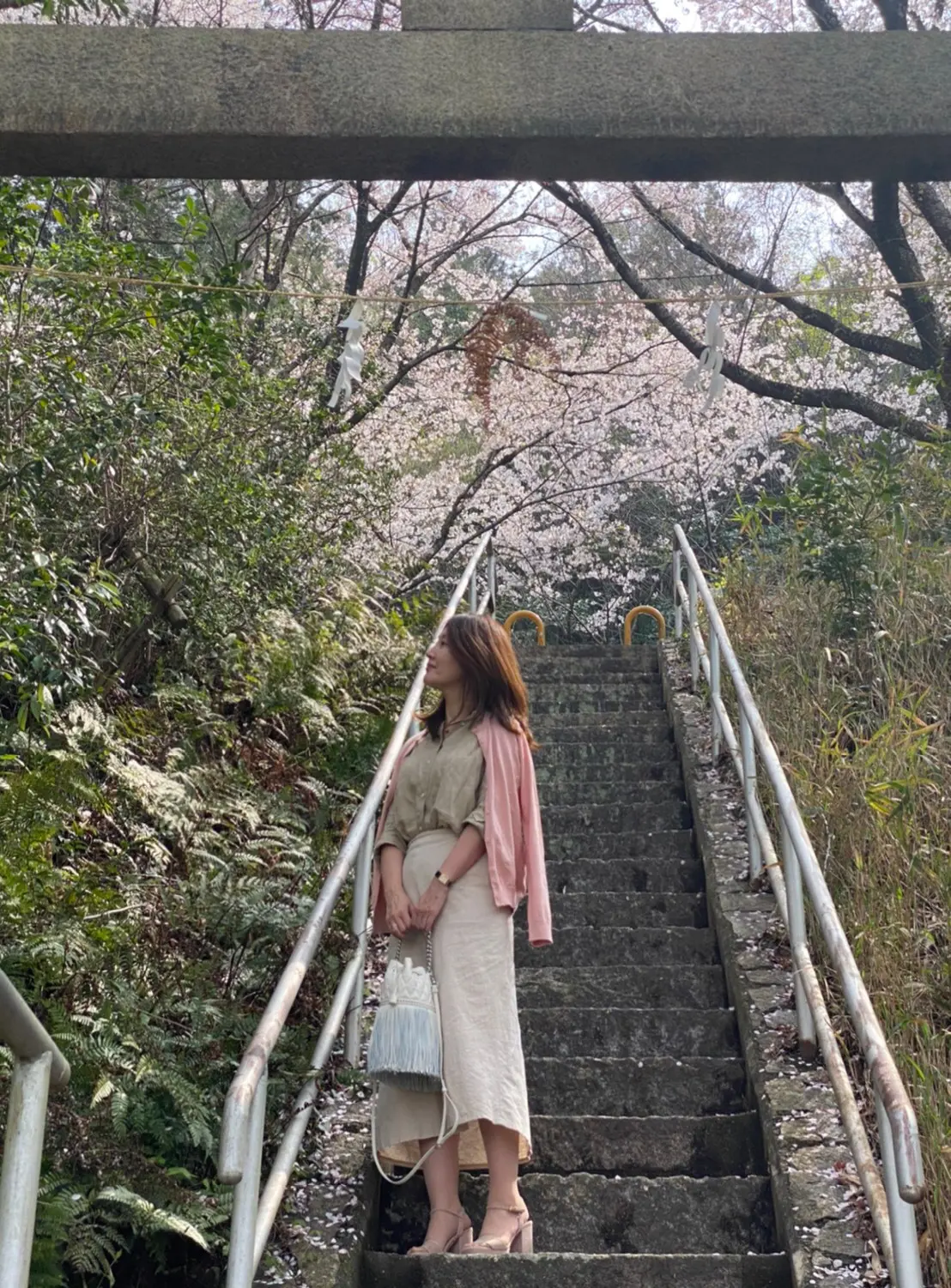 石の階段　女性　桜