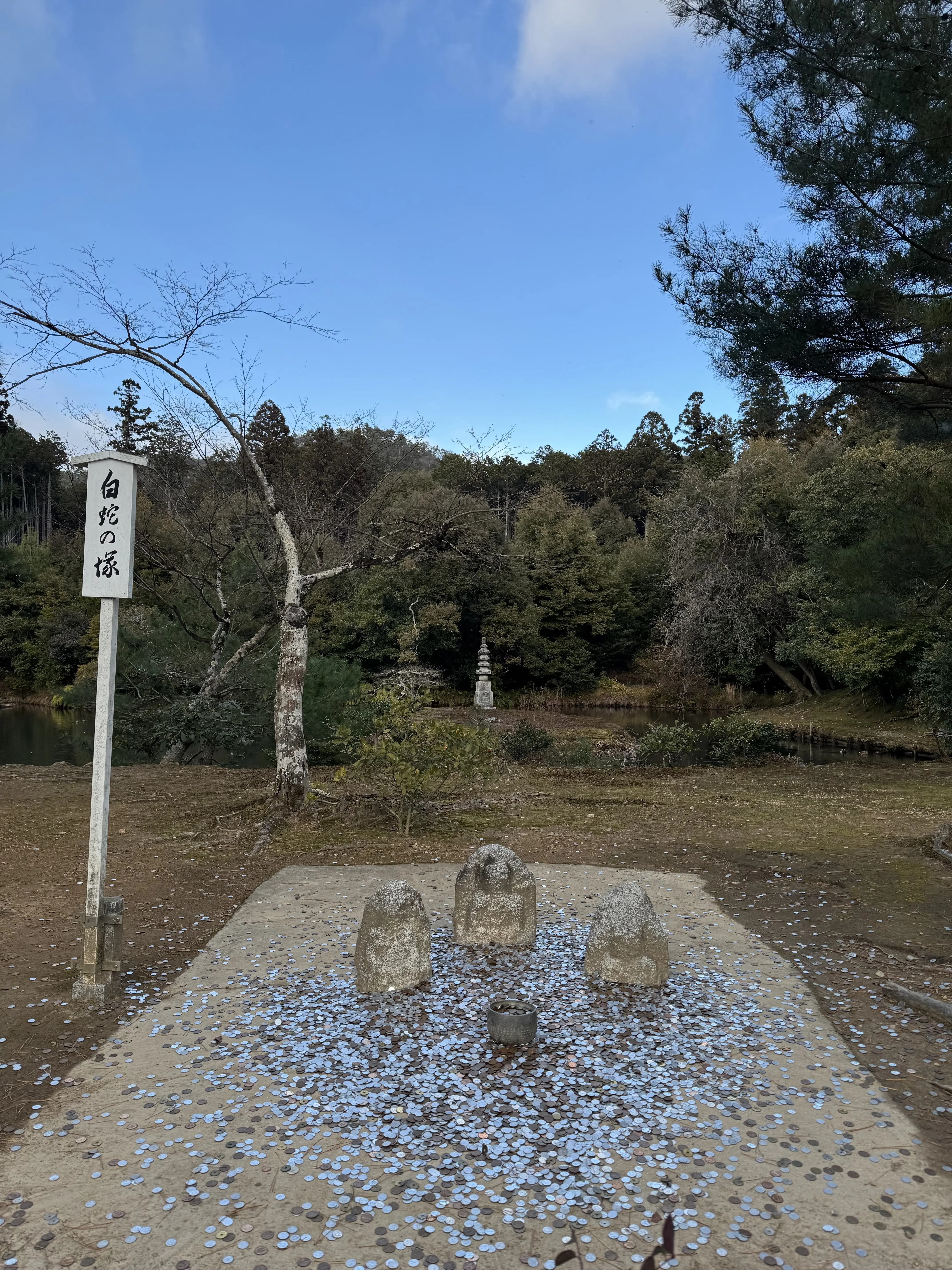  お正月の帰省と、京都で過ごした静かな時間_1_9-2