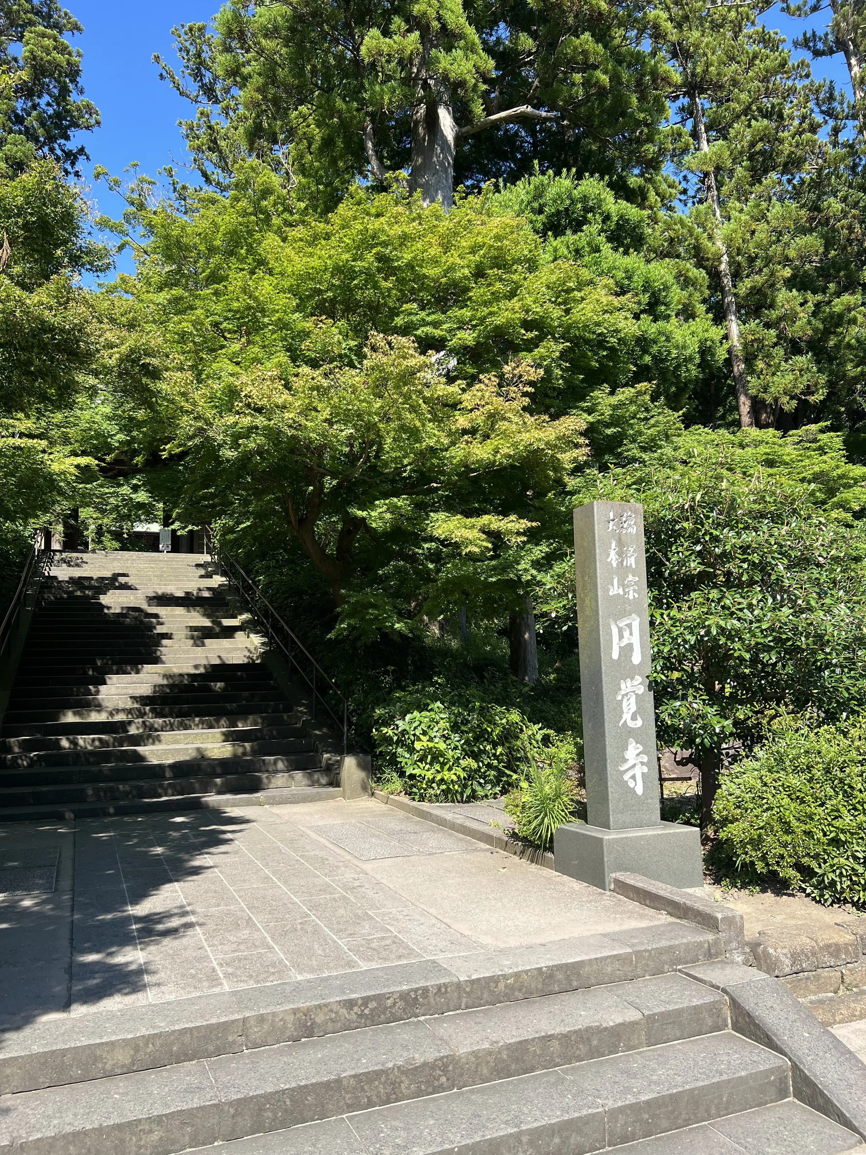 鎌倉円覚寺の風鈴棚に癒される夏🎐_1_2