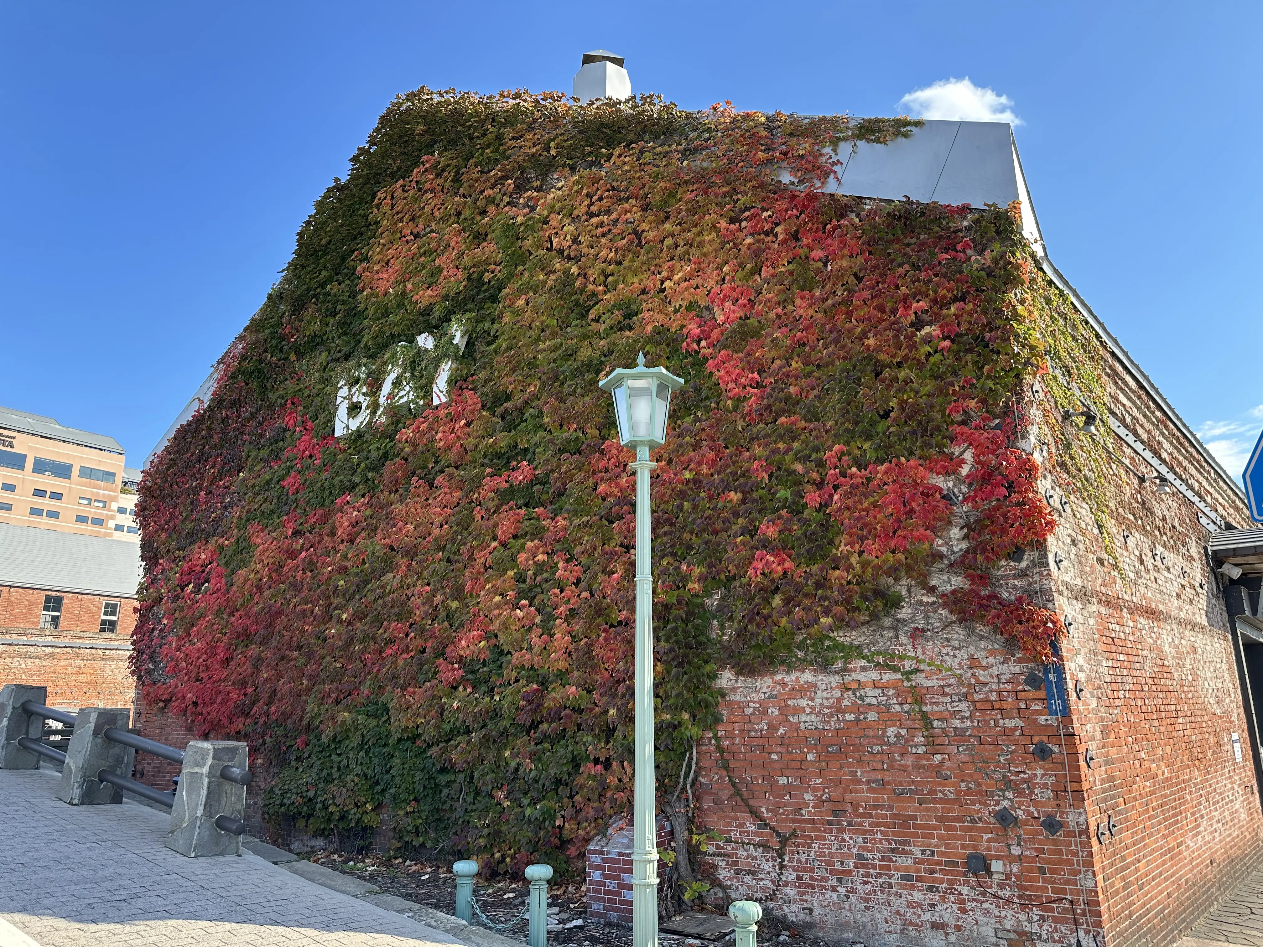 母娘で旅する紅葉の函館_1_22