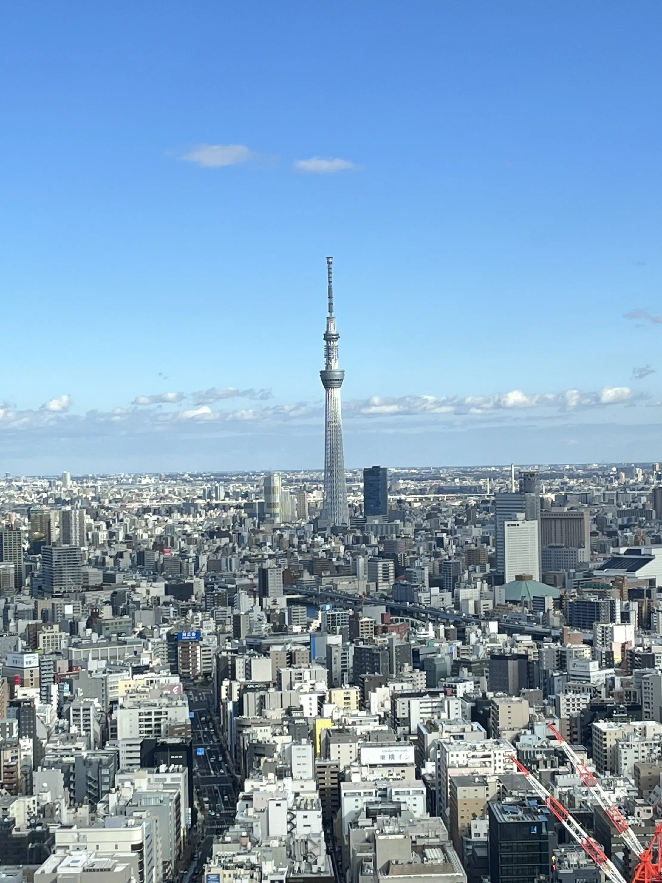 誕生日のブーケと最後にちょっとだけキラキラ観賞_1_12