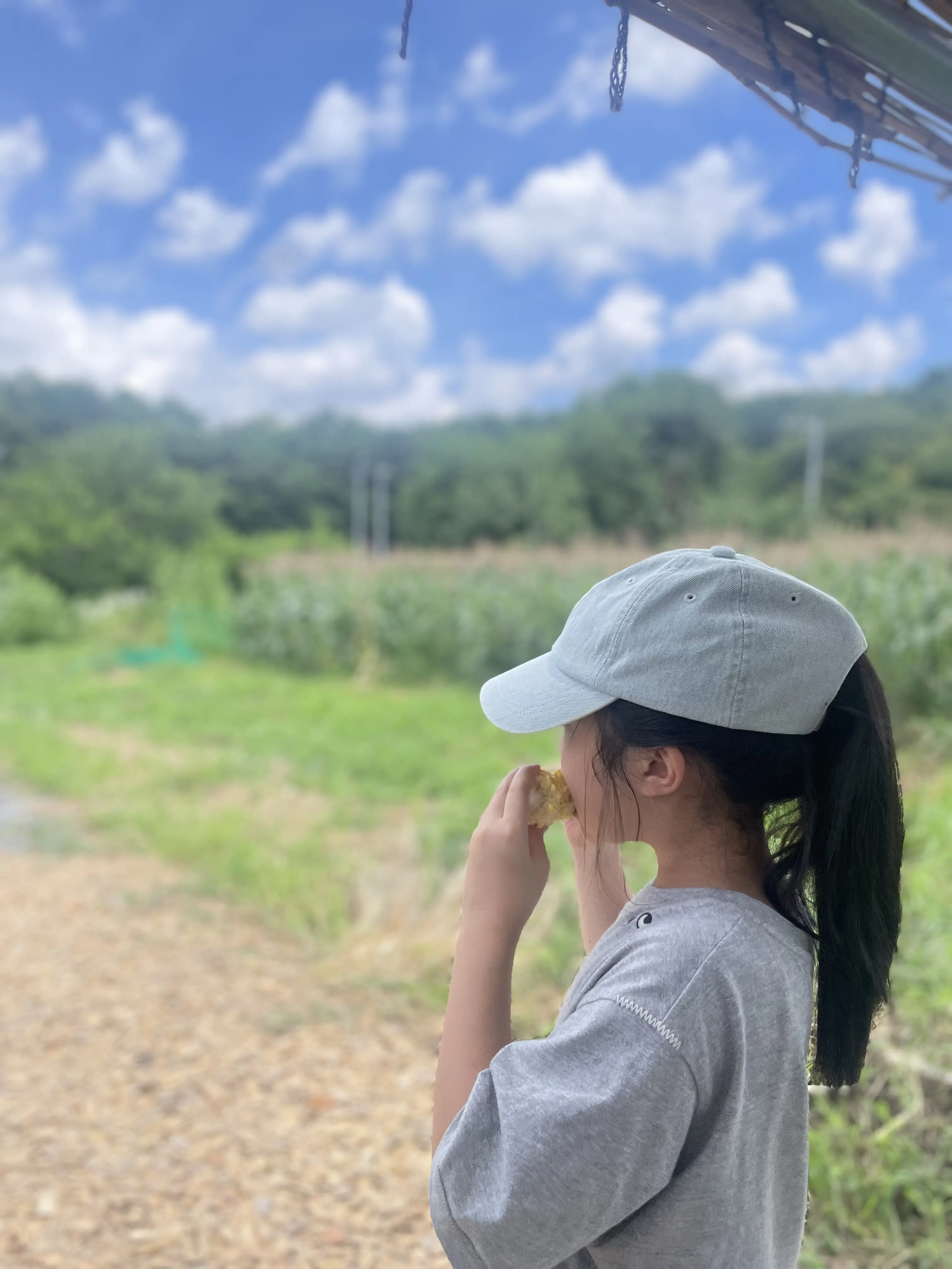 かぶりつけば至福！八ヶ岳生とうもろこし_1_5
