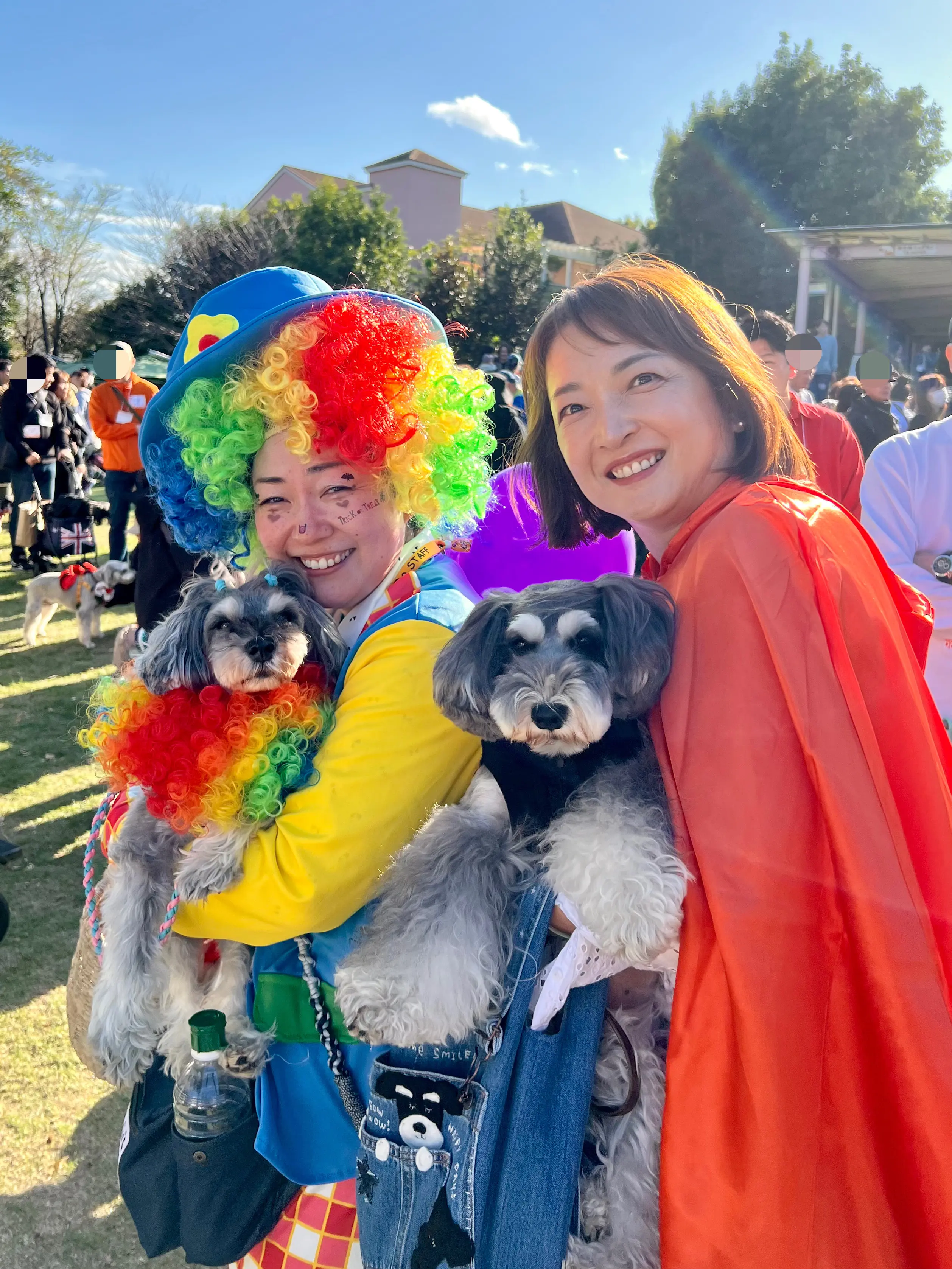 髭犬祭