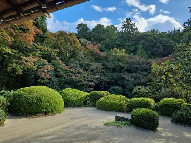 秋の京都ひとり旅・中編 ～瑠璃光院から詩仙堂へ〜わずかな時間も特別な京都の午後_1_12