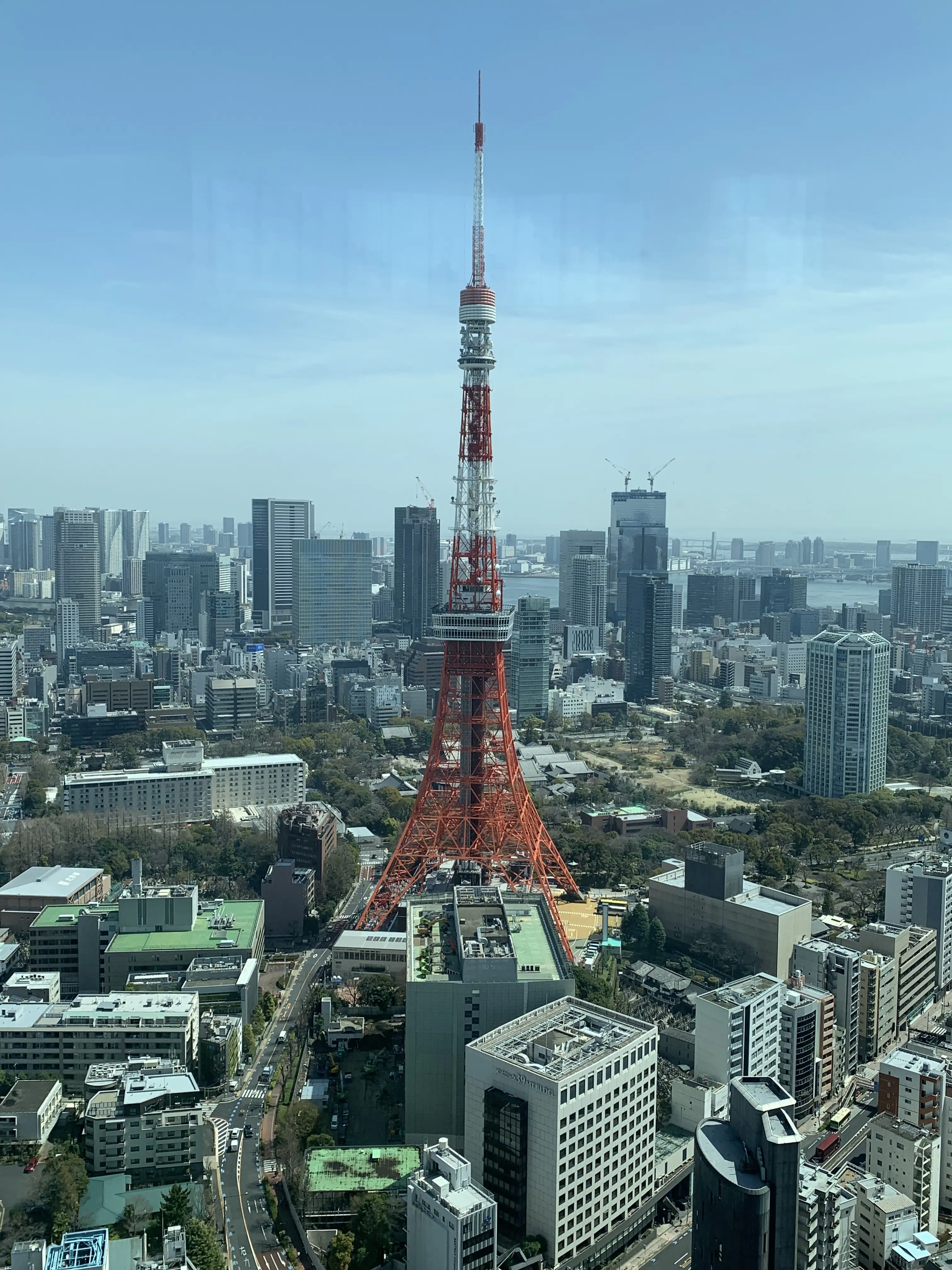 麻布台ヒルズの展望台から見る東京タワー